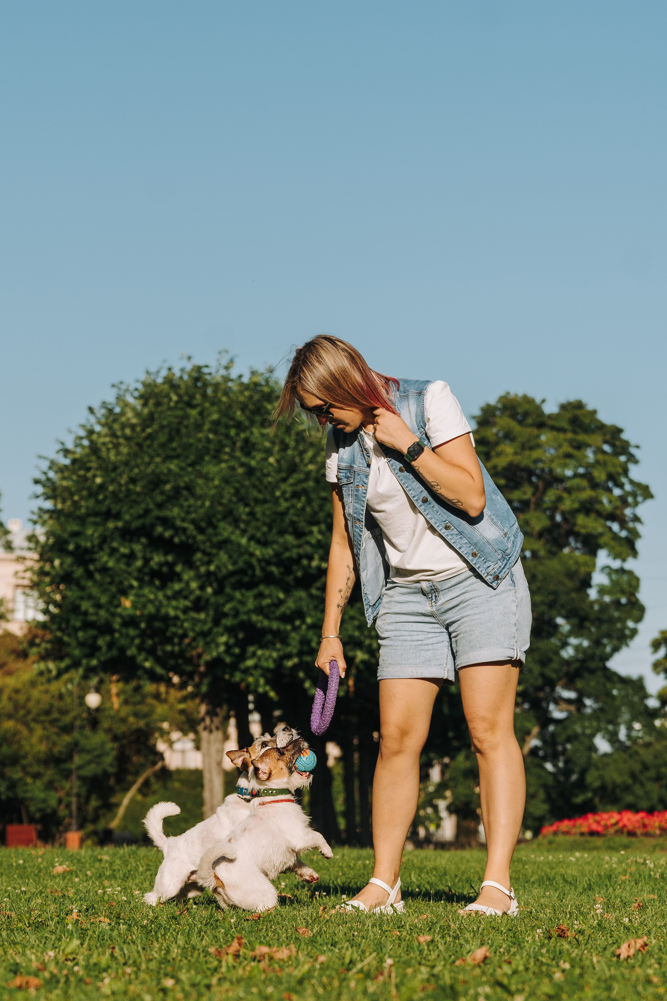 Ларс, Лукас и Ольга. Фотограф анималист в Спб недорого Олеся Майорова