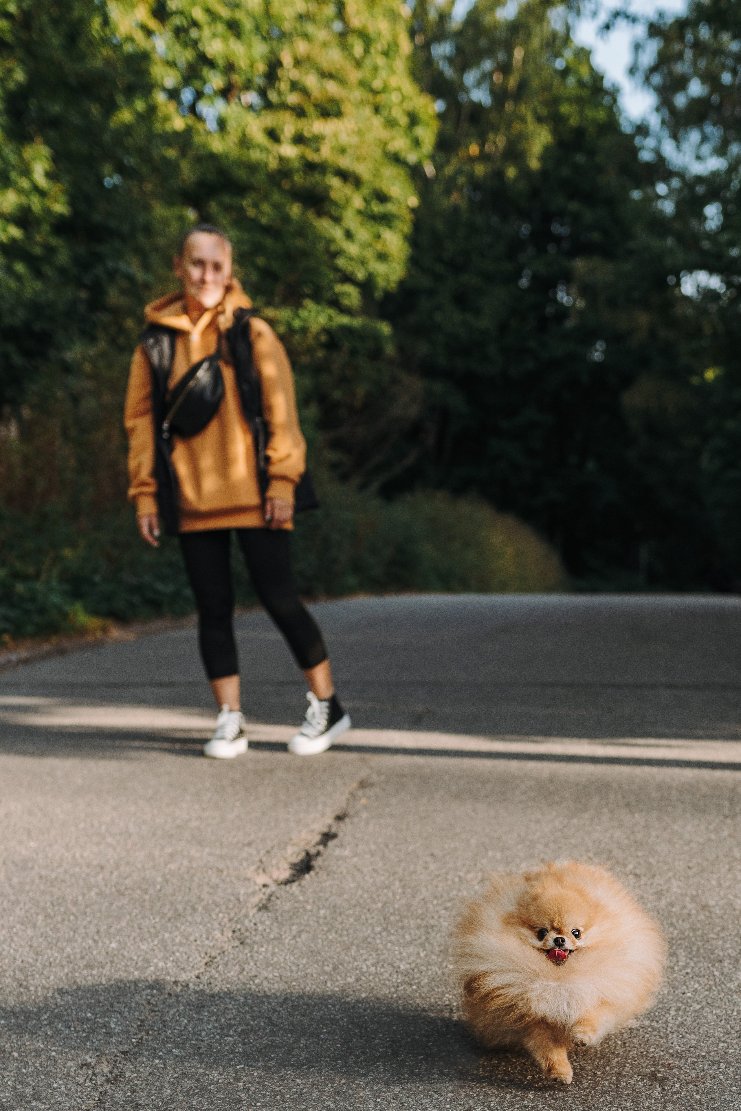 Наталья и Софа. Фотограф анималист в Спб недорого Олеся Майорова