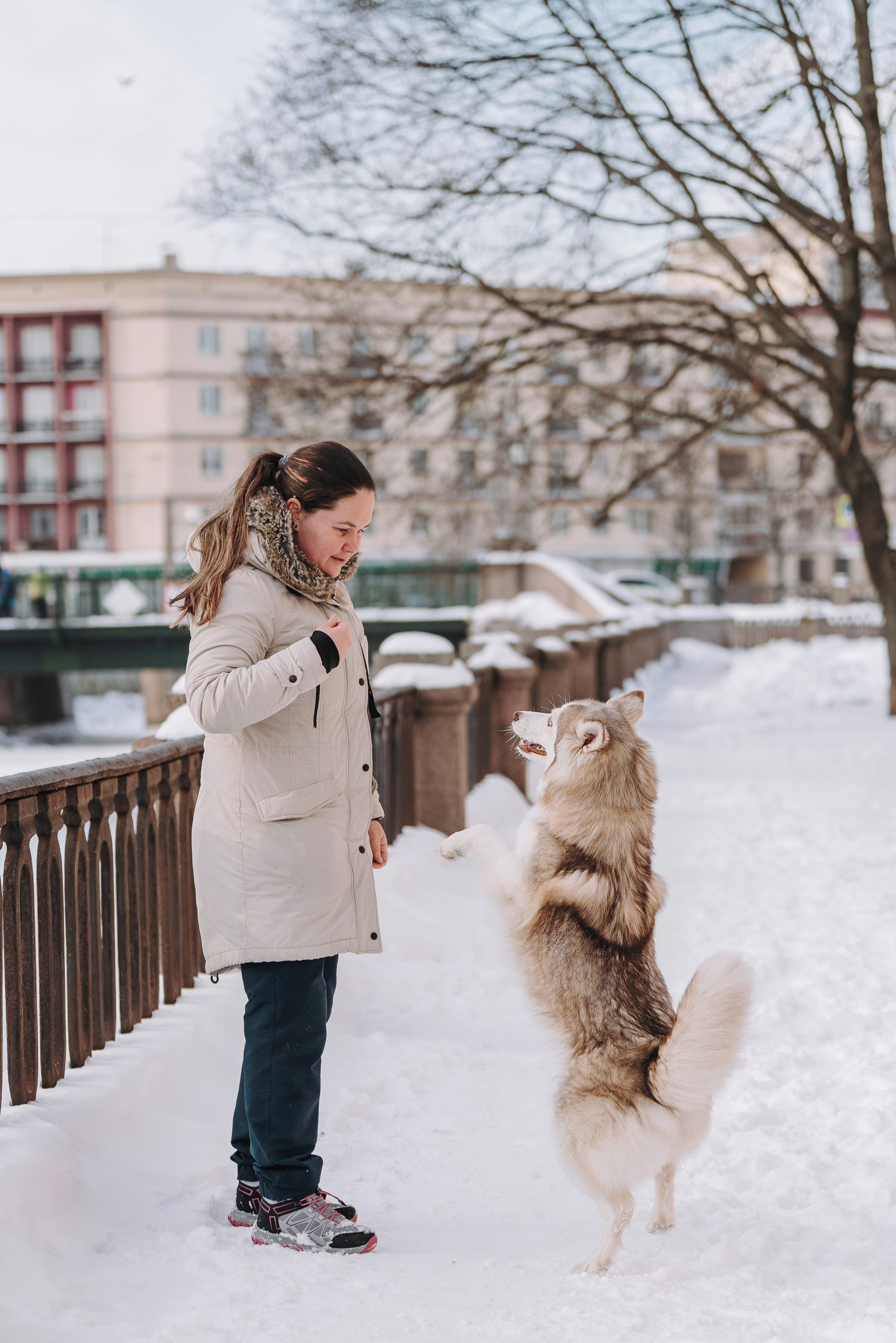 Мария и Амелия. Фотограф анималист в Спб недорого Олеся Майорова