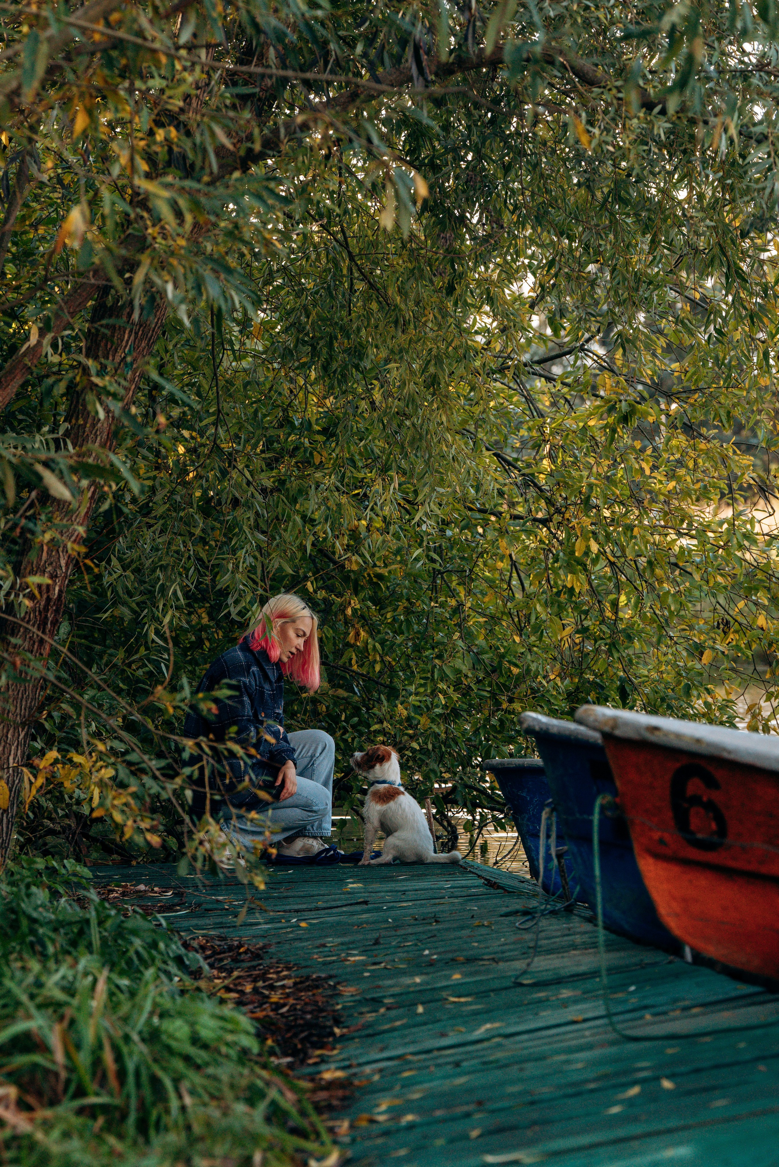 Фотосессия с маленькой собакой Спб. Фотограф анималист в Спб недорого Олеся Майорова