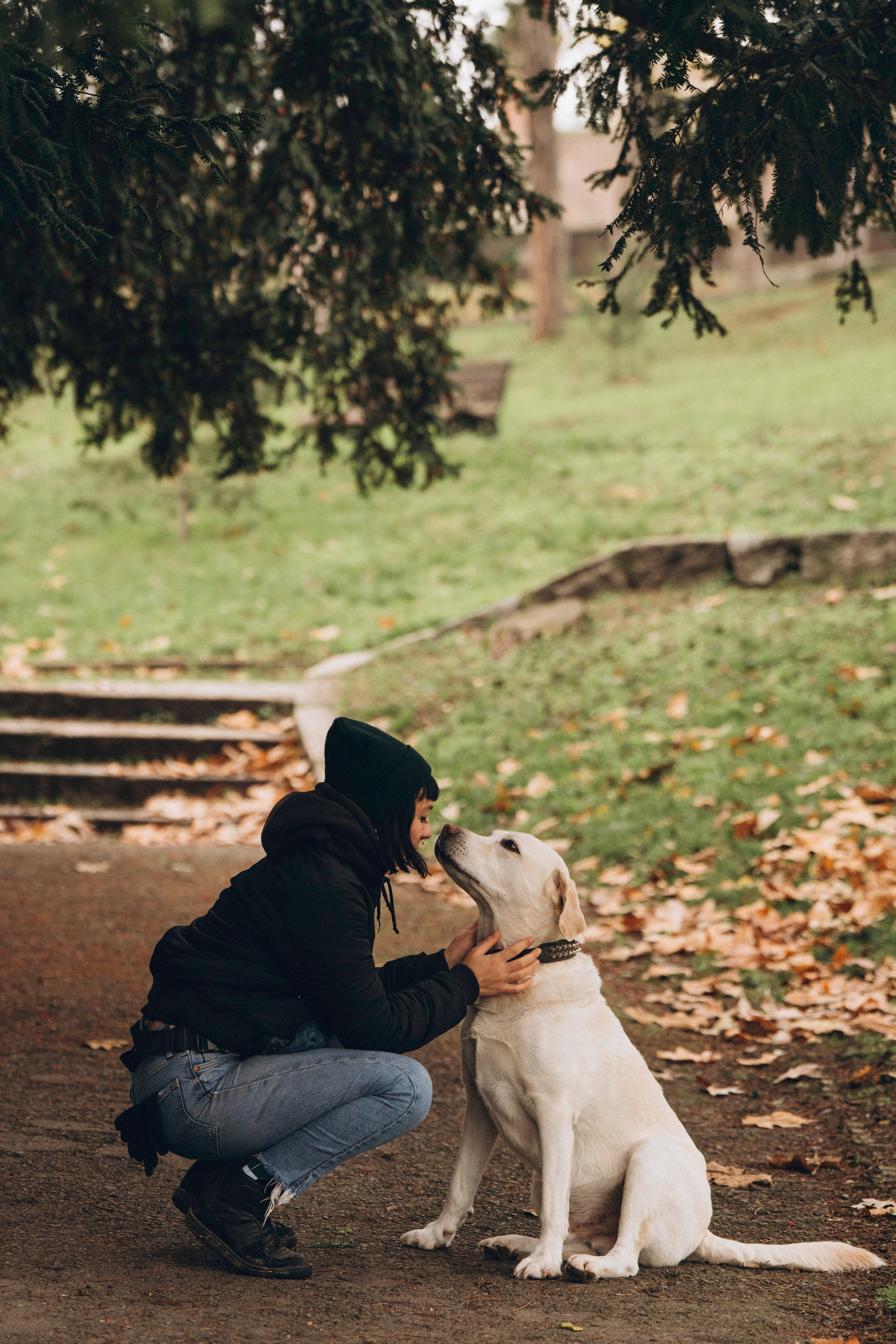 Вати, Лена и Леван. Фотограф анималист в Спб недорого Олеся Майорова