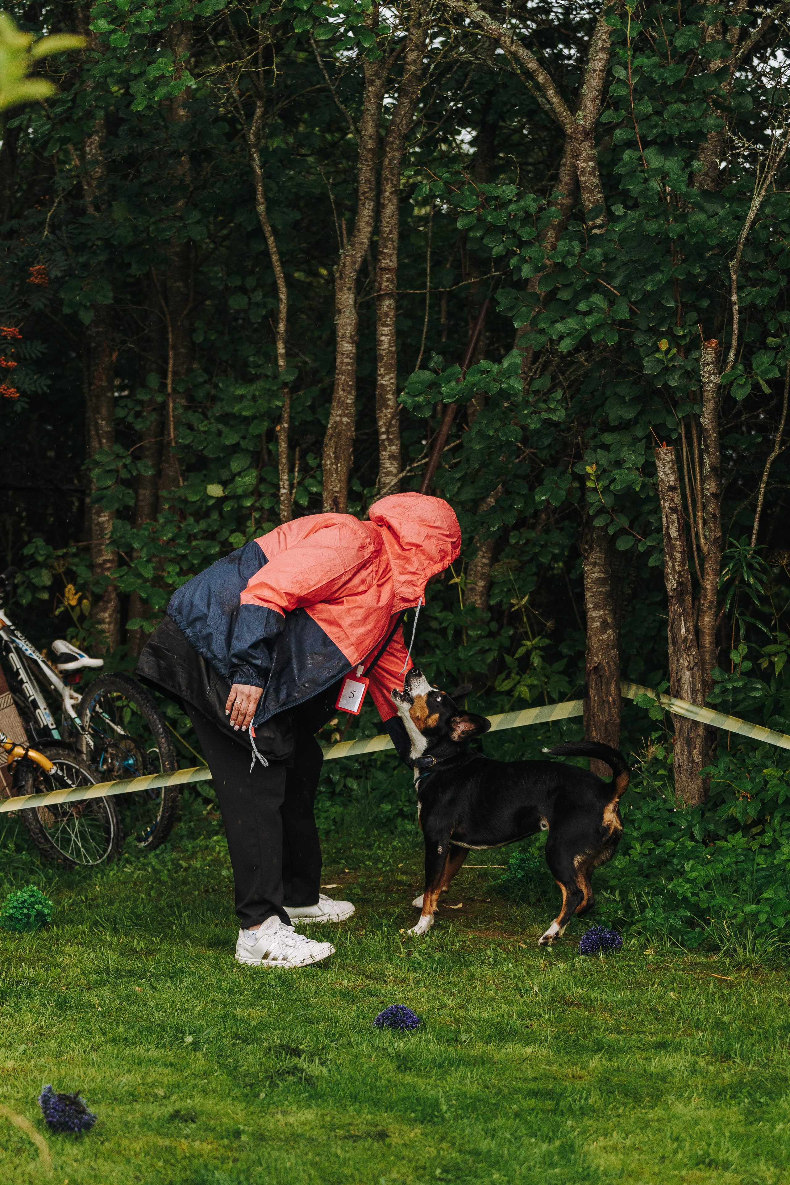 Соревнования по ноузворку в Новожилово. Фотограф анималист в Спб недорого Олеся Майорова