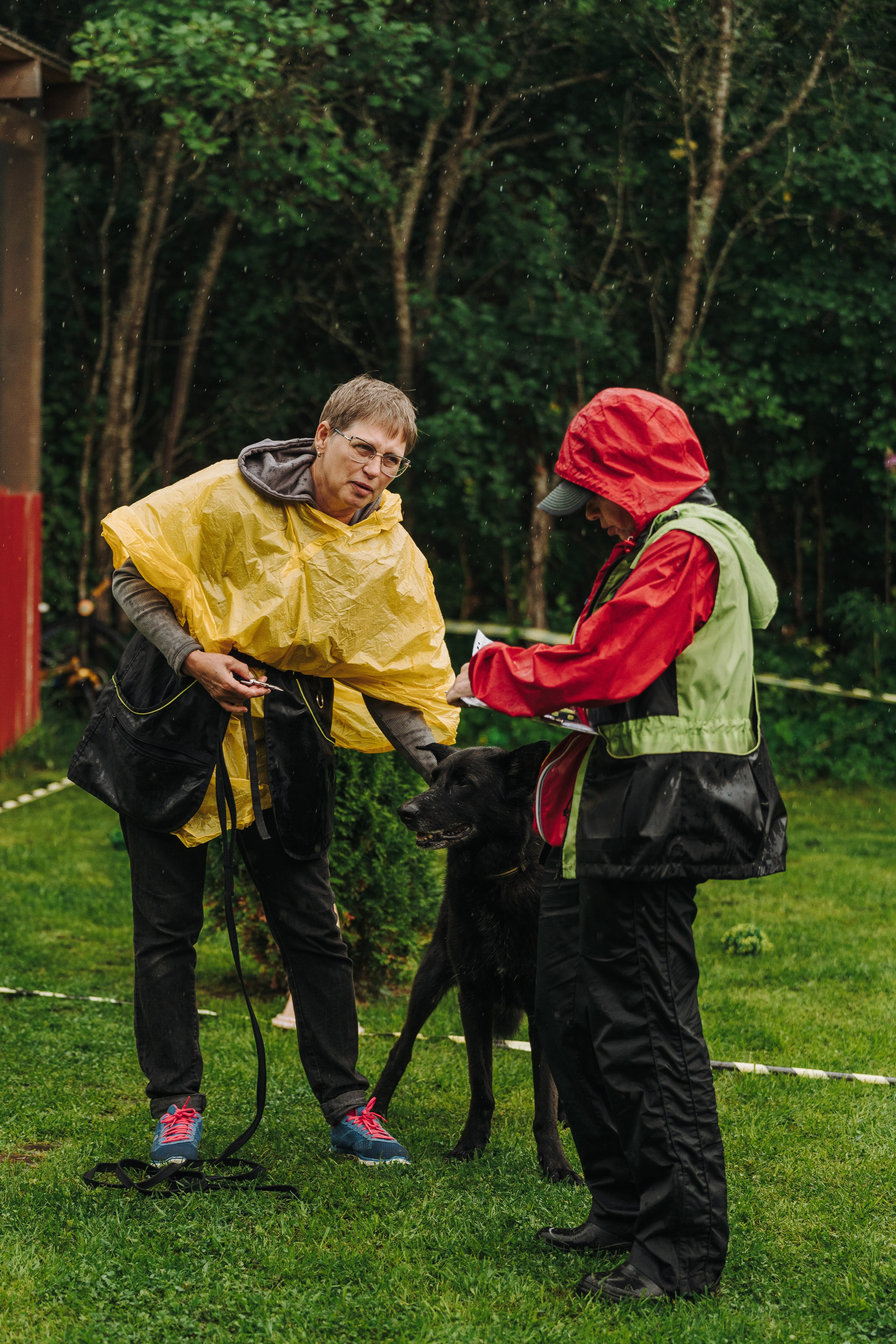 Соревнования по ноузворку в Новожилово. Фотограф анималист в Спб недорого Олеся Майорова
