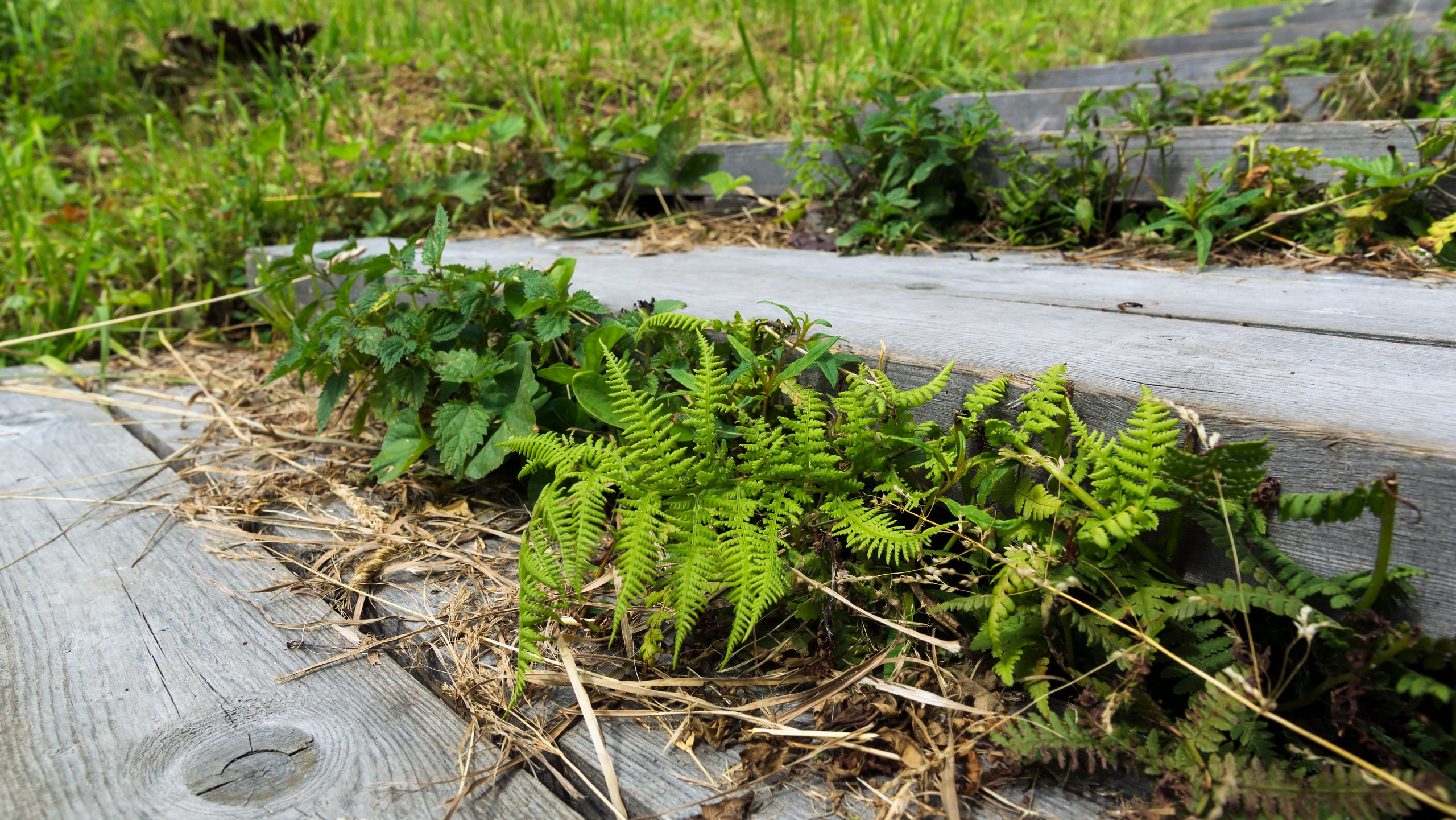 Карелия. Фотограф-путешественник Самойлов Максим «Sly Fox»