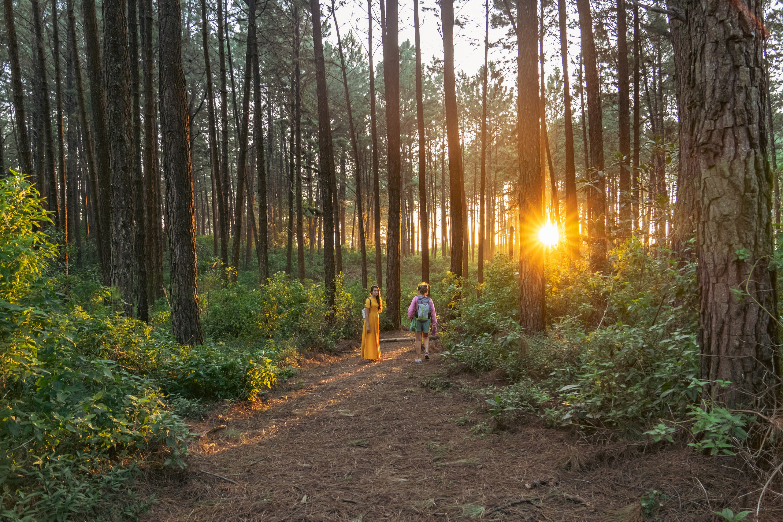 Promo content shooting for Ceylon Forward Tours