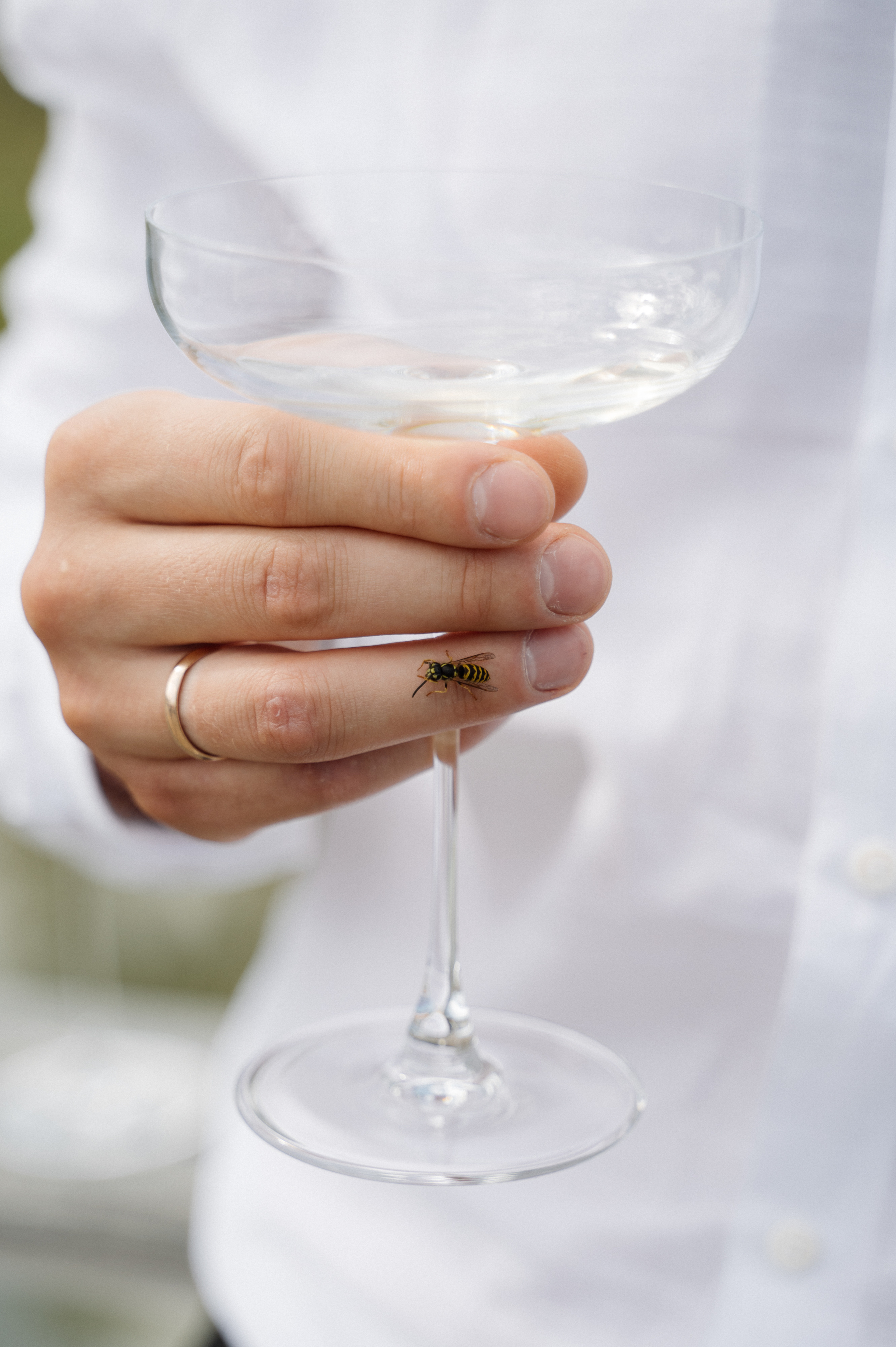 Александр и Дарья. Свадебный фотограф Минск