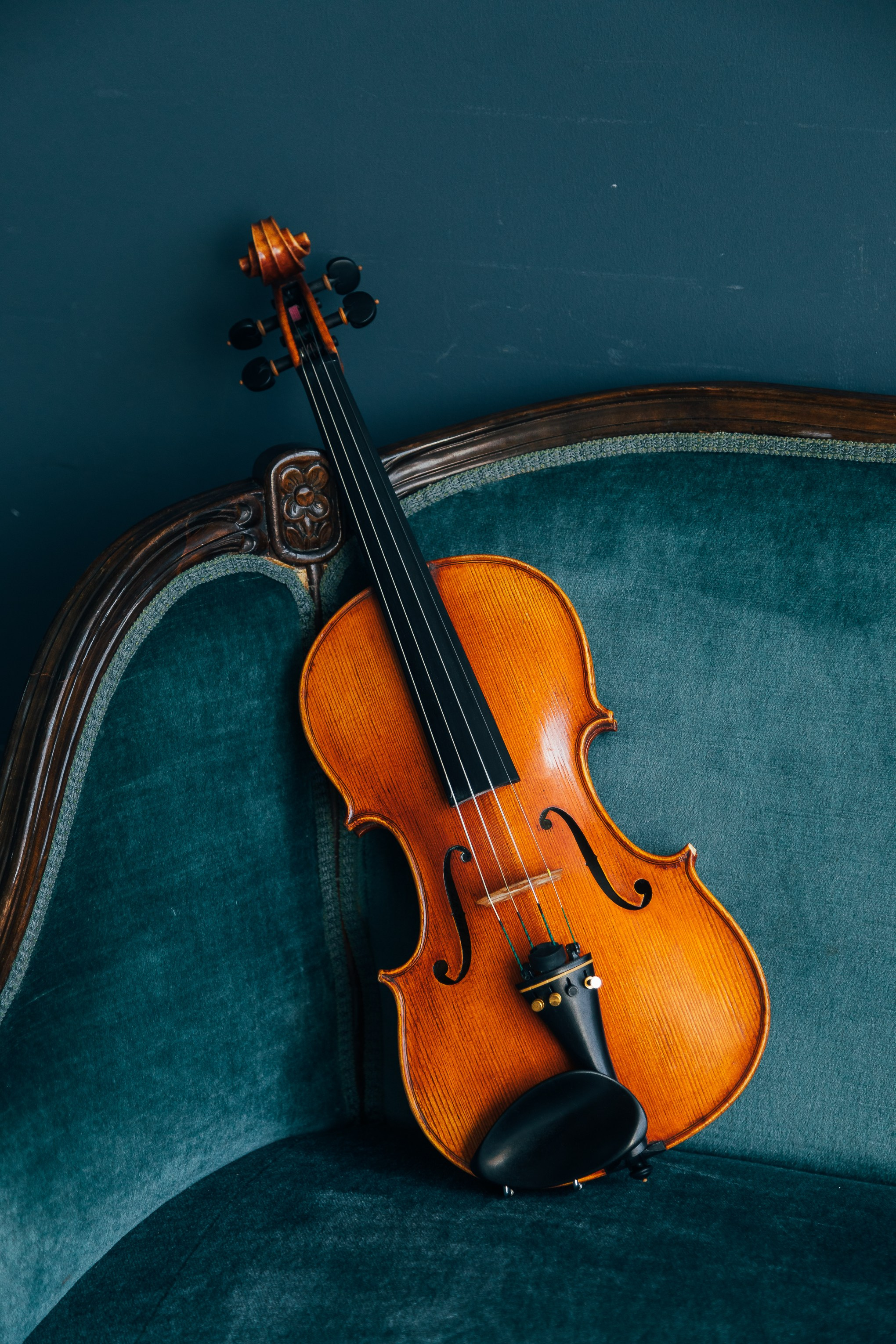 🎻. Фотограф Вика Про