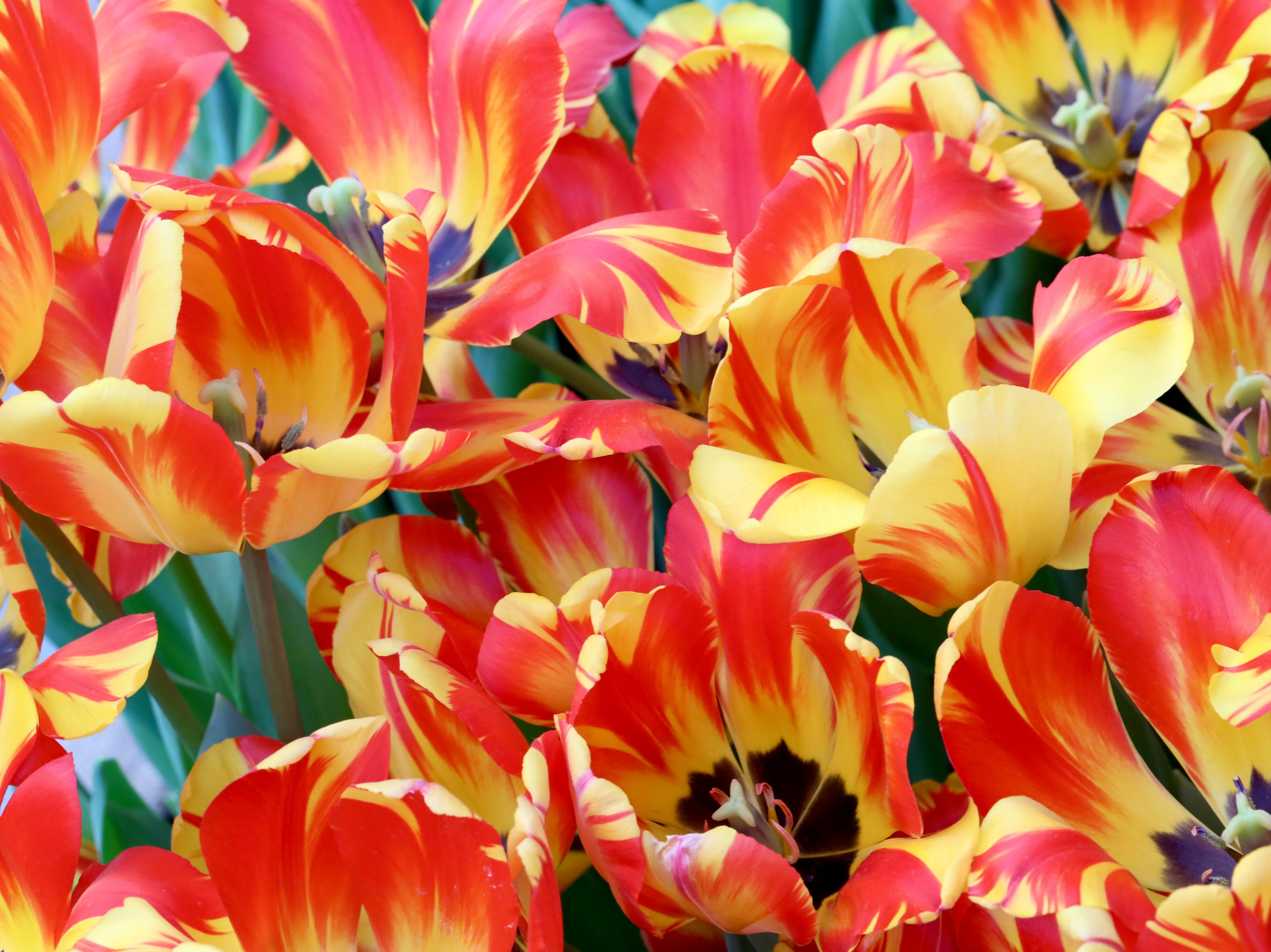 Репетиция весны — февраль 2023