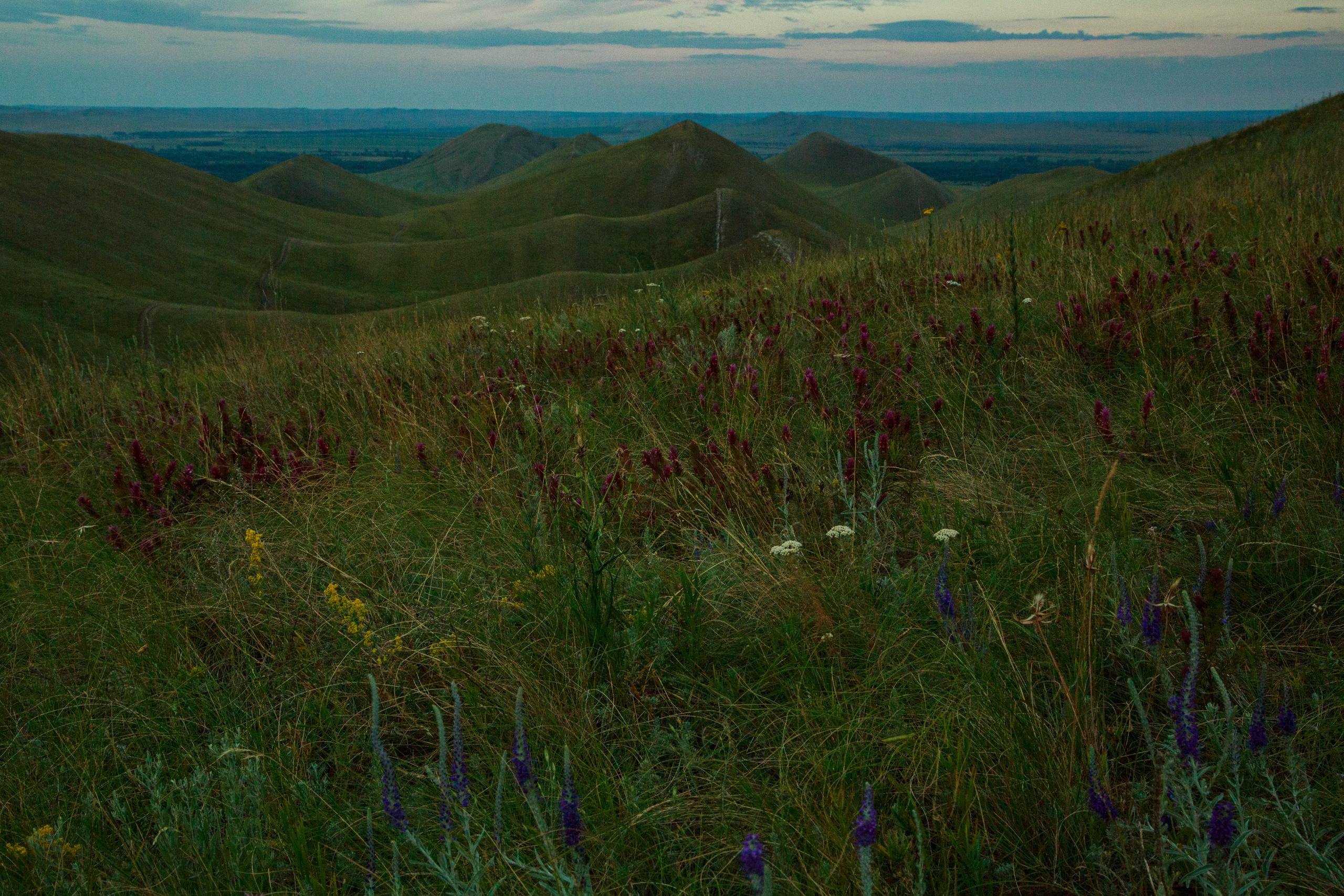 Долгие Горы. Ваш фотограф в Оренбурге Рощупкина Екатерина