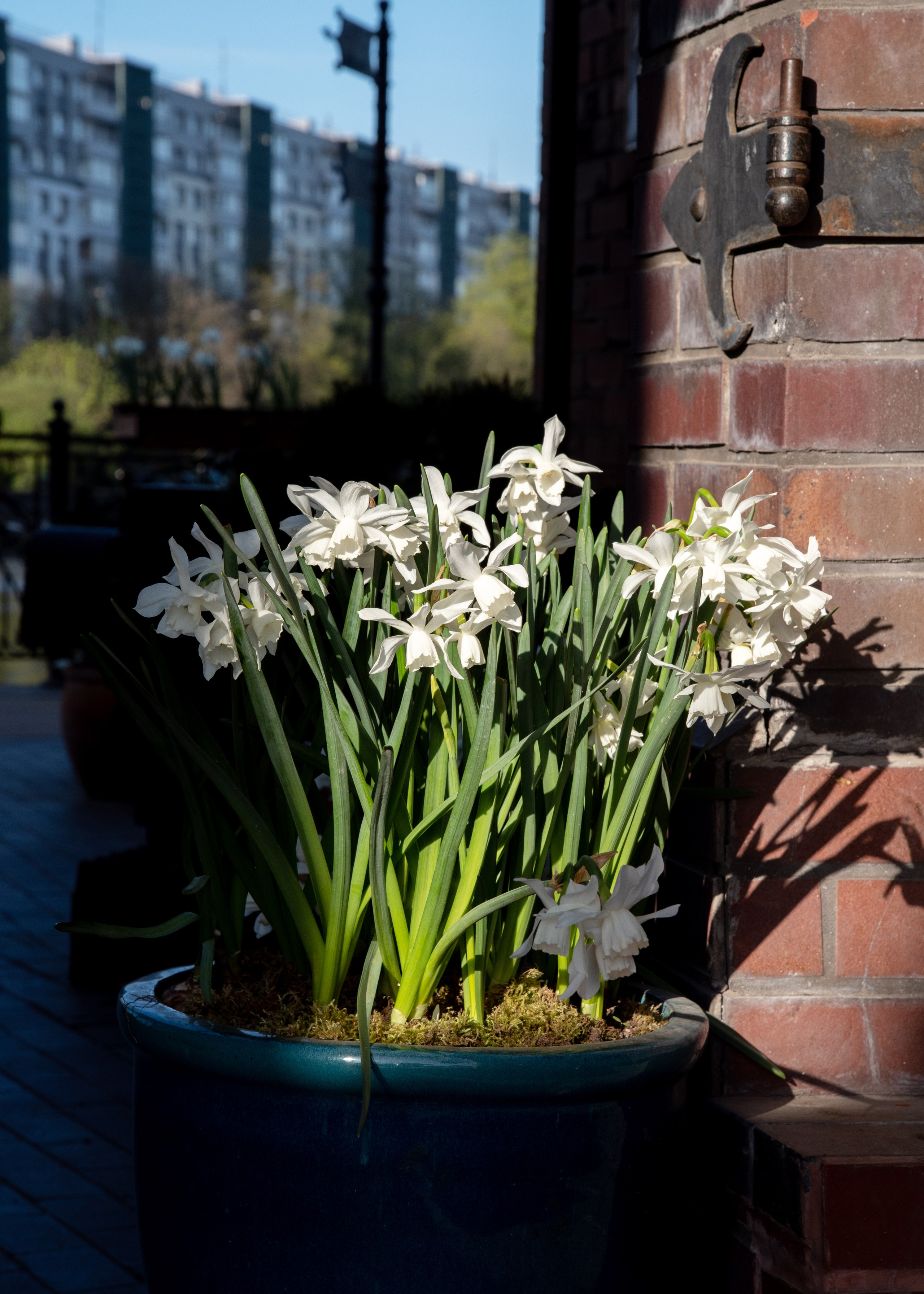 Калининград, Светлогорск. Фотограф Юлия Зимина