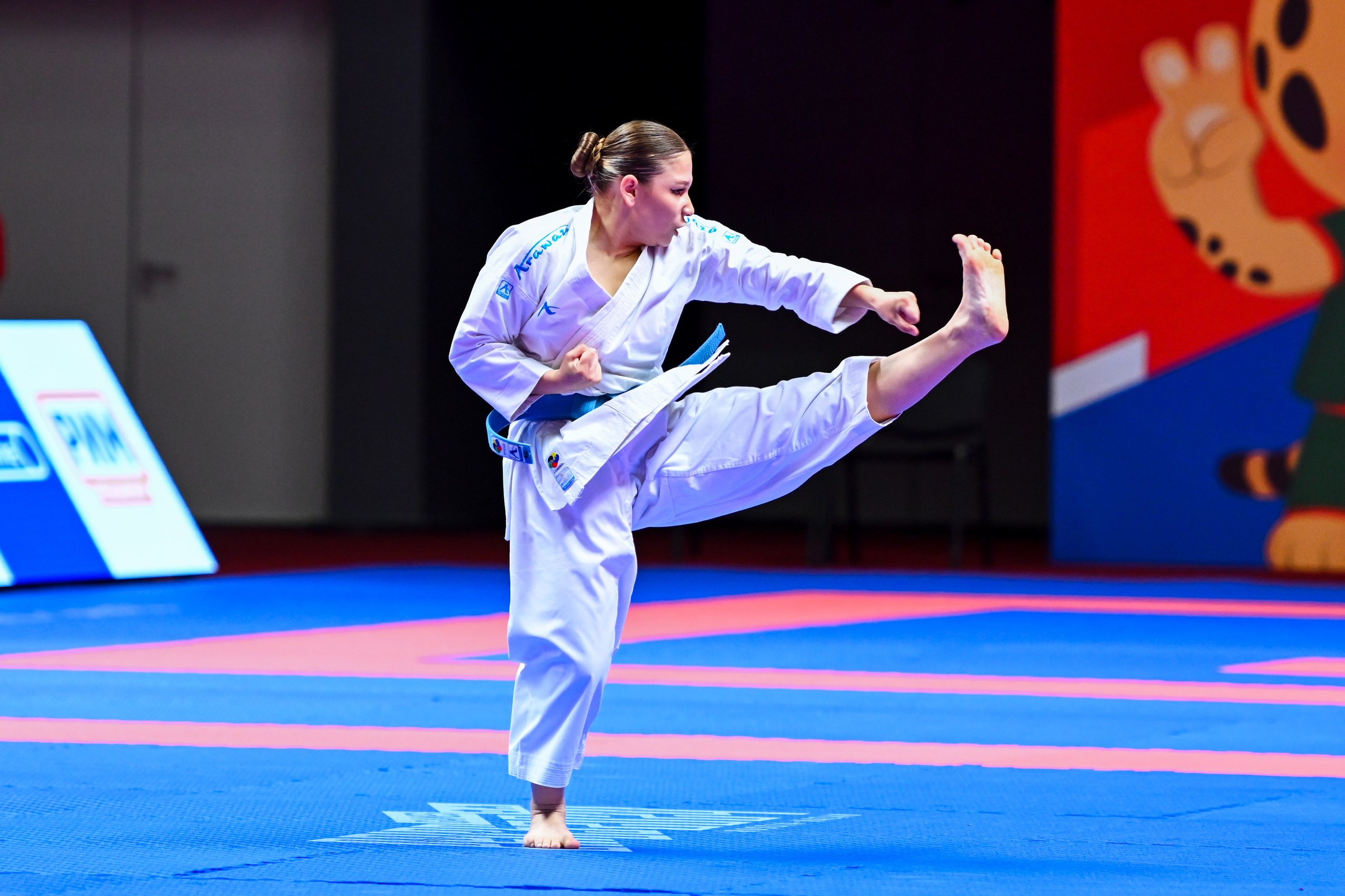 Каратэ «Спортивные игры стран БРИКС». Спортивный и репортажный фотограф в Казани Вячеслав Сатонин