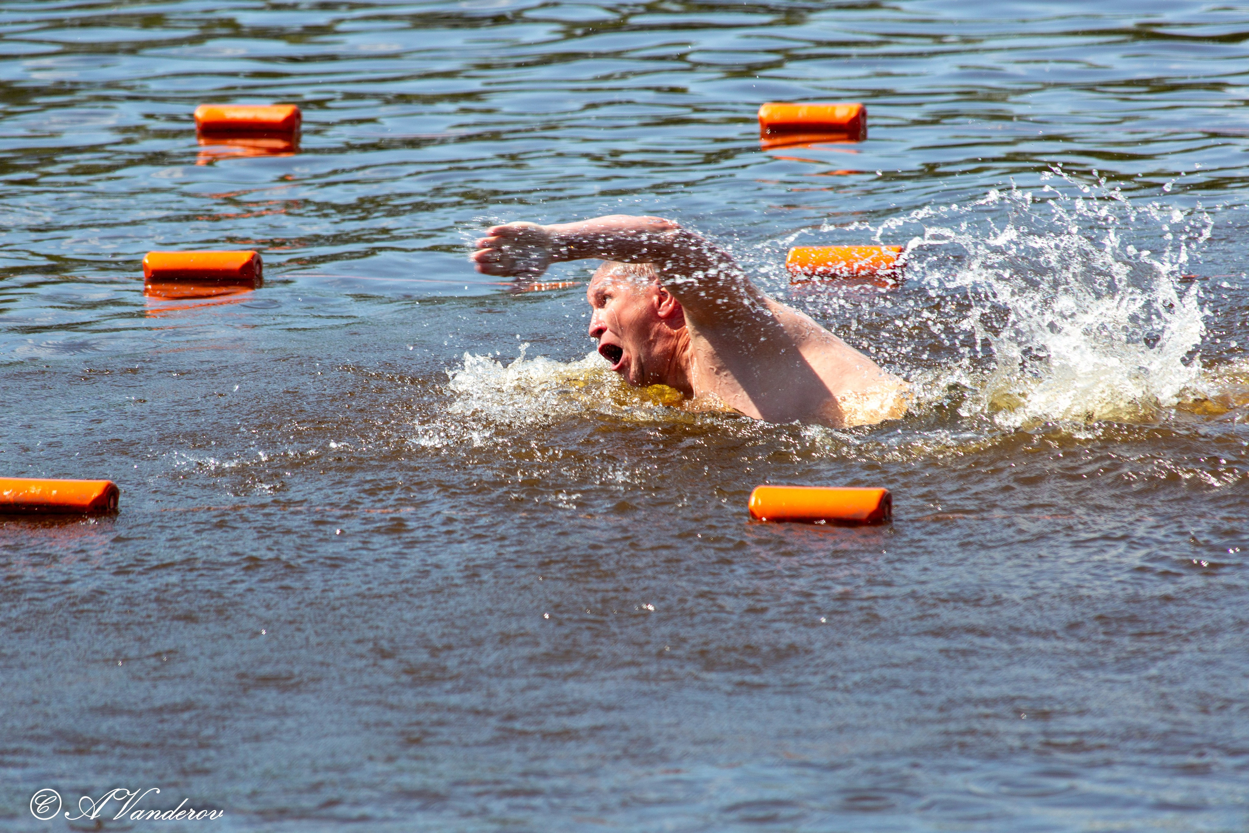 Заплыв 02.06.2024. Фотограф Омск | Александр Вандеров