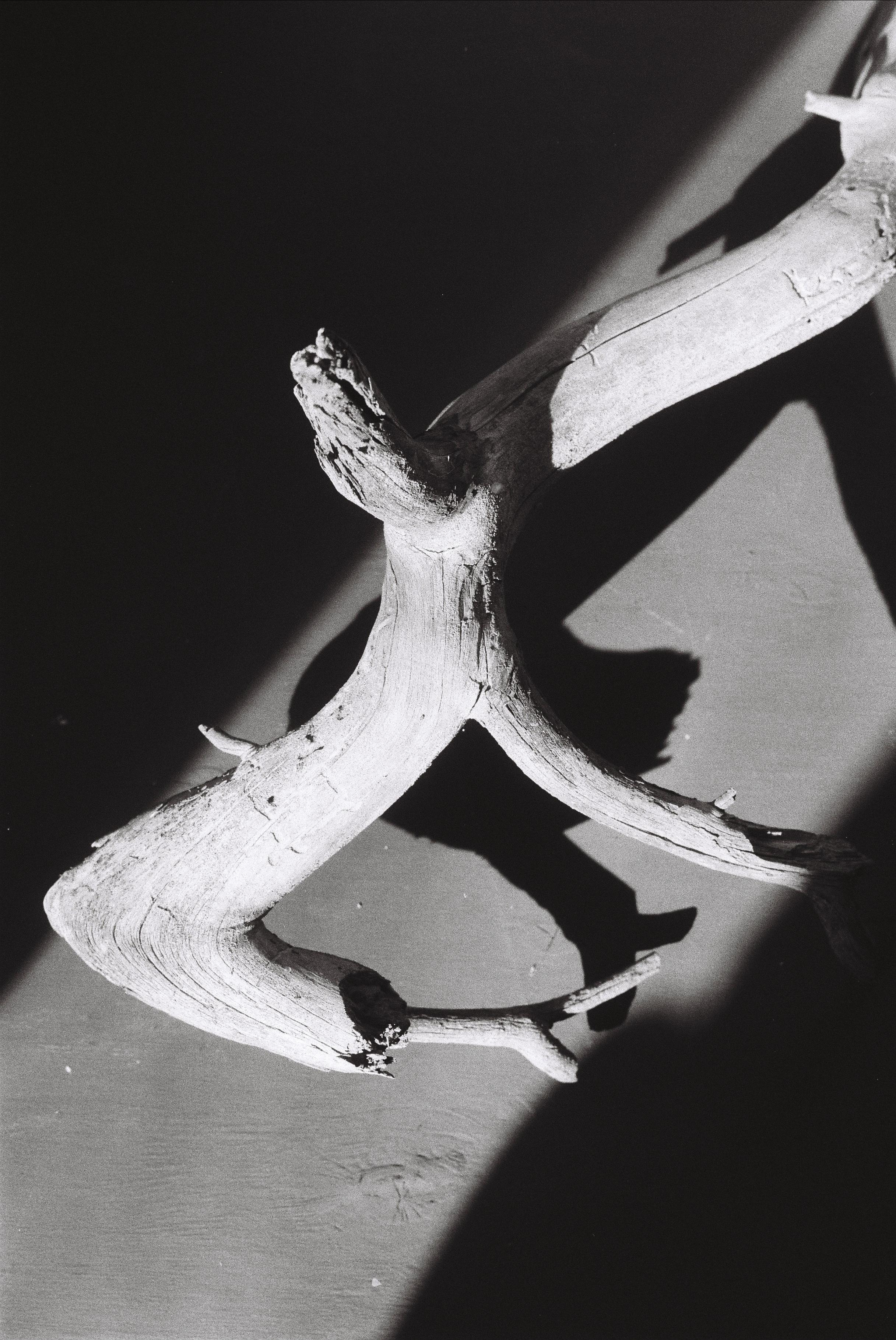 Earth. Art photographer Romanda Che