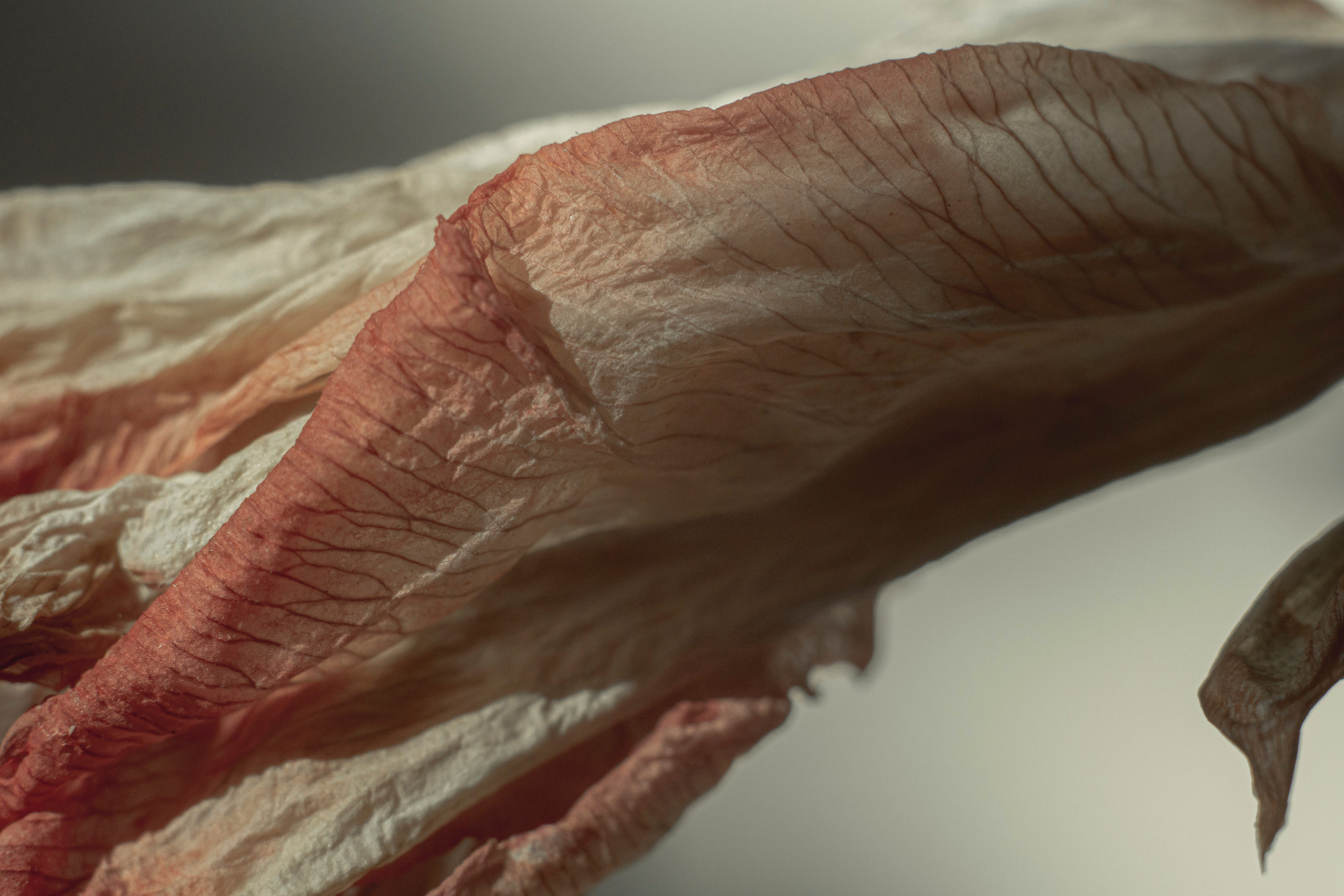 Art photographer Romanda Che