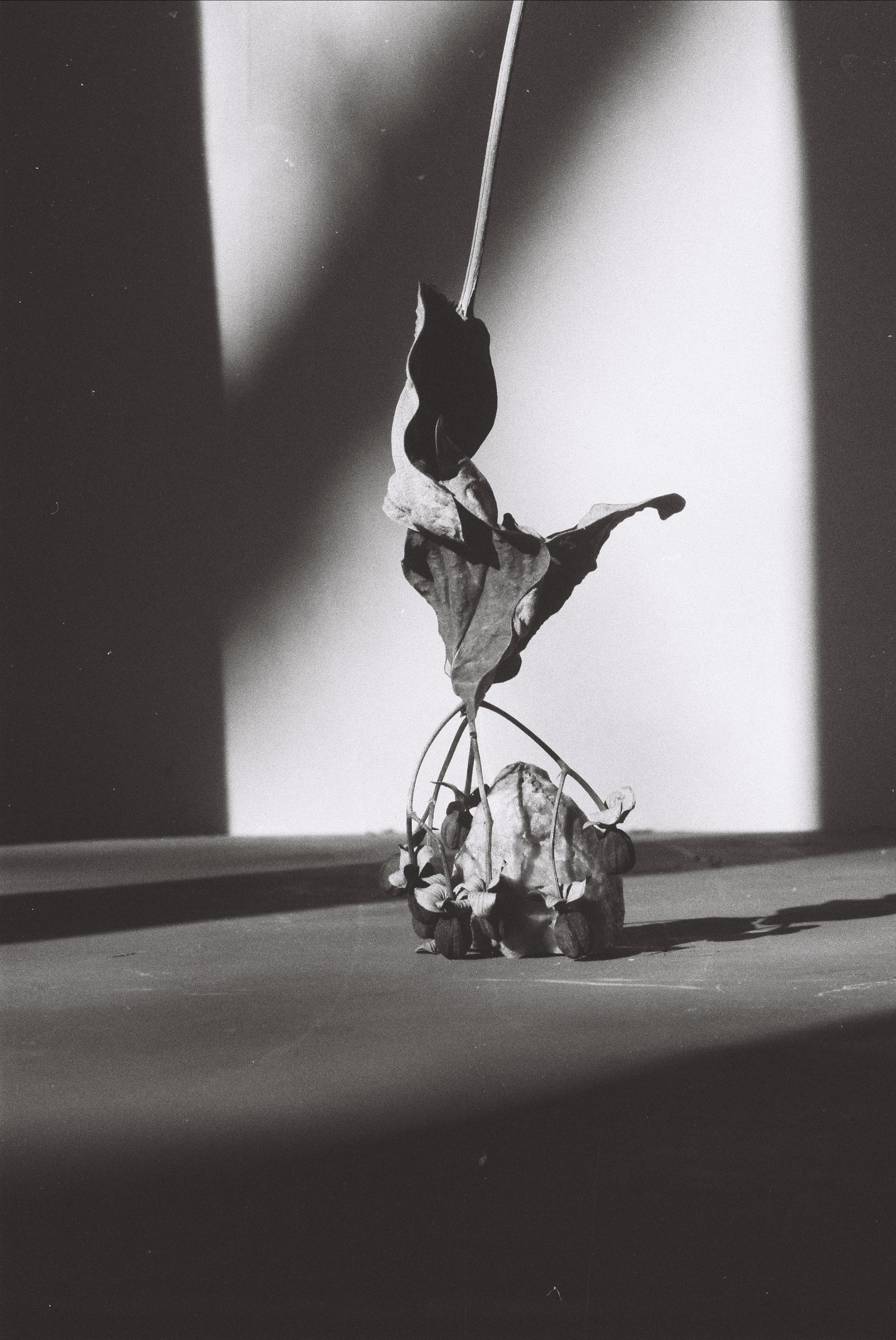 Earth. Art photographer Romanda Che