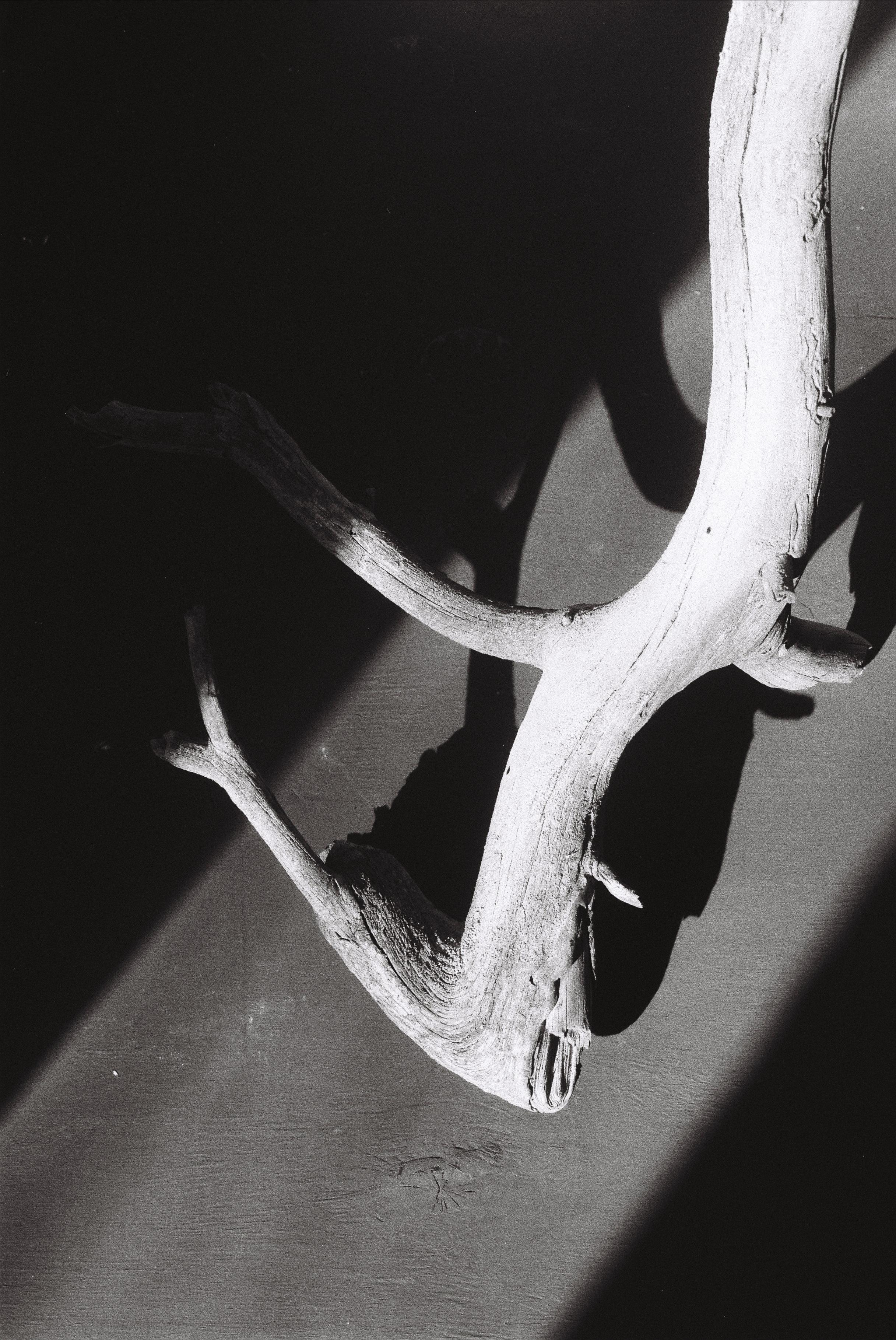 Earth. Art photographer Romanda Che