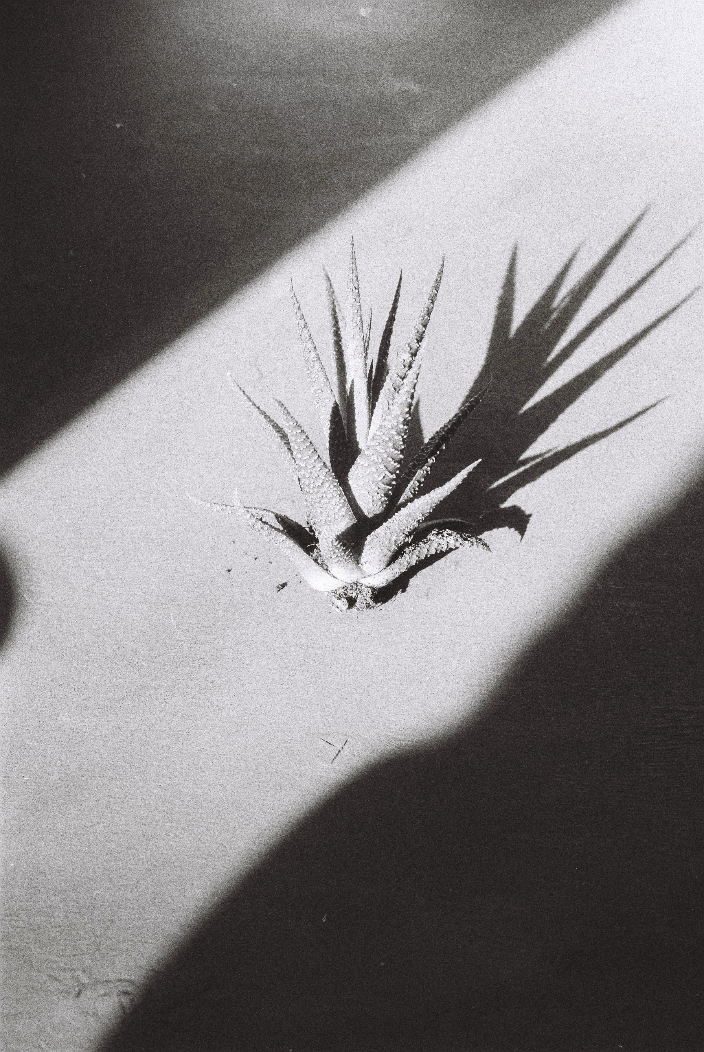 Earth. Art photographer Romanda Che