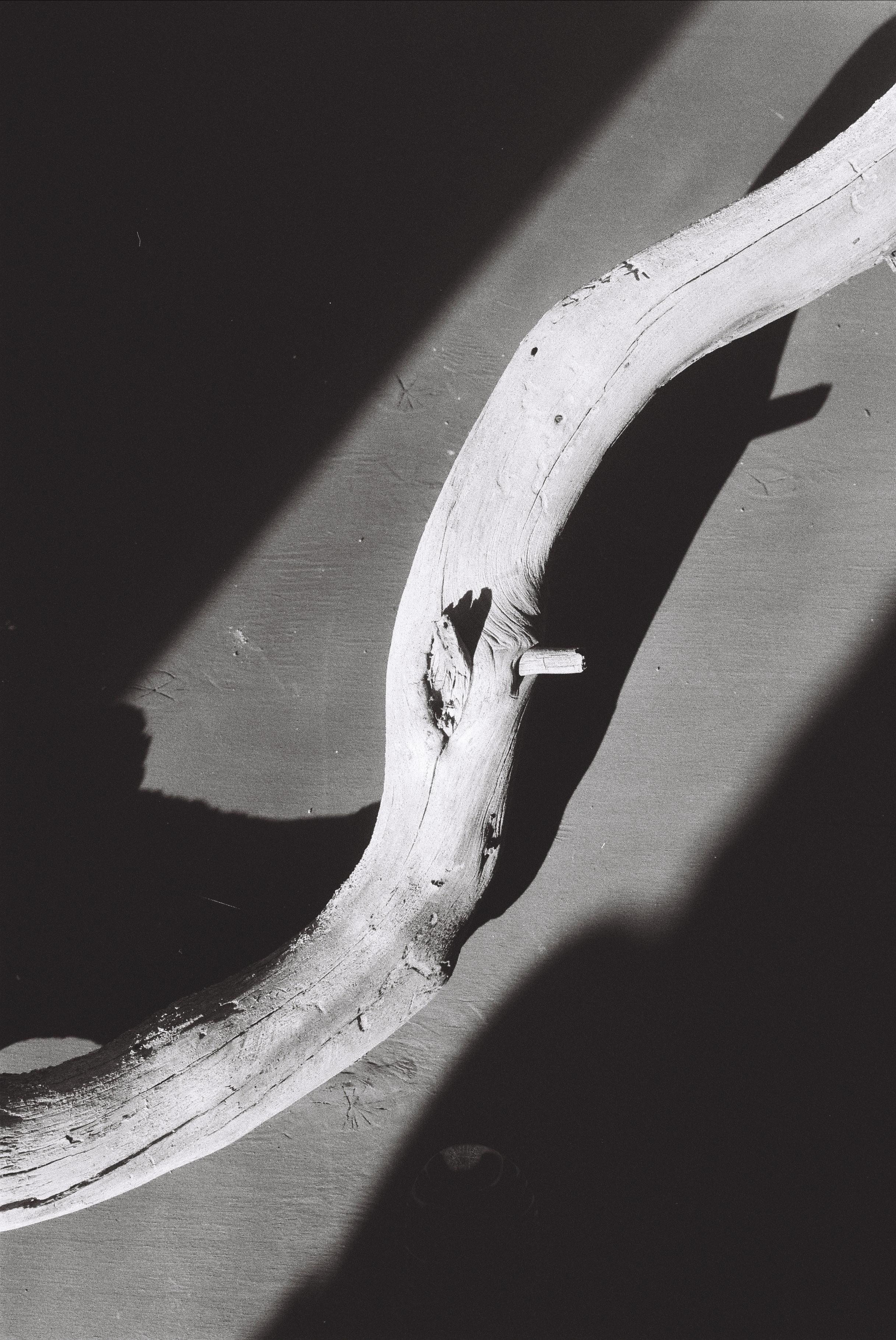 Earth. Art photographer Romanda Che