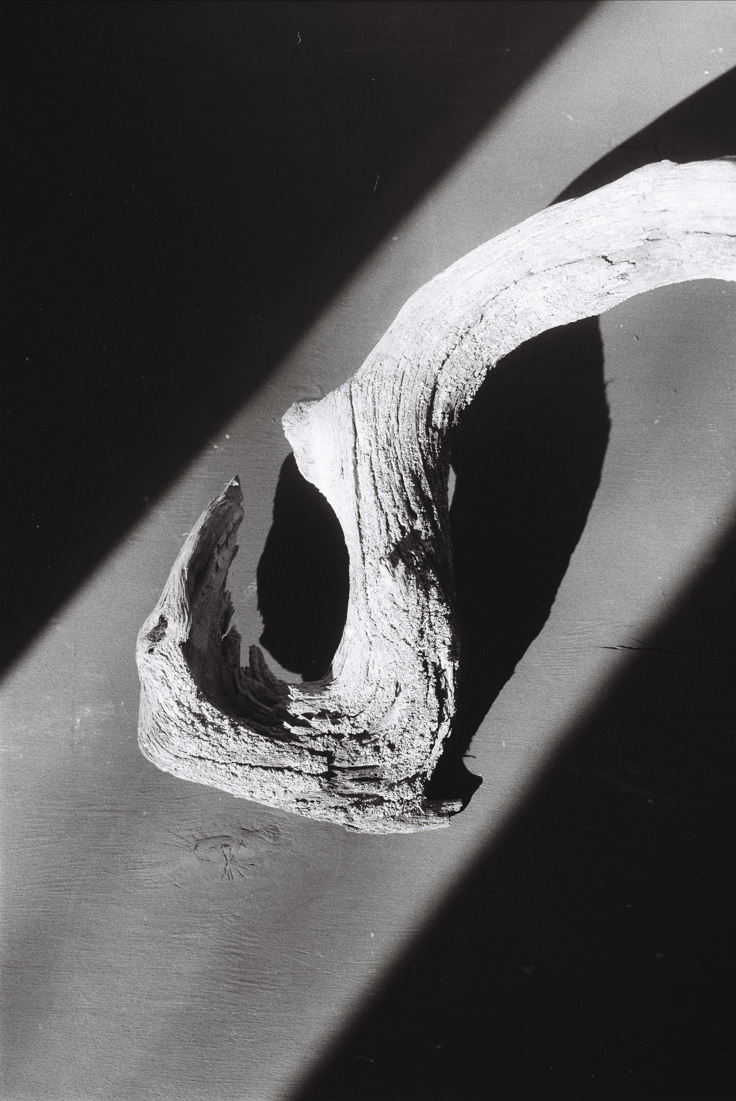 Earth. Art photographer Romanda Che