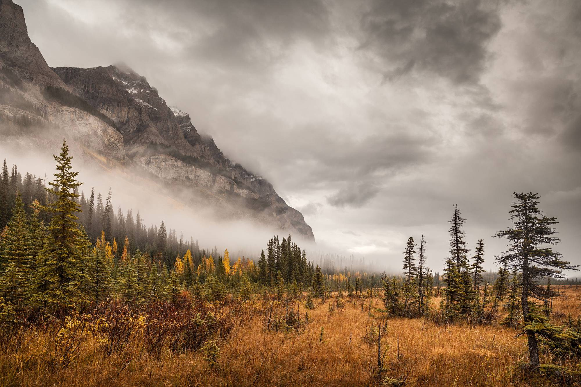 Канада. Фотограф Владимир Медведев