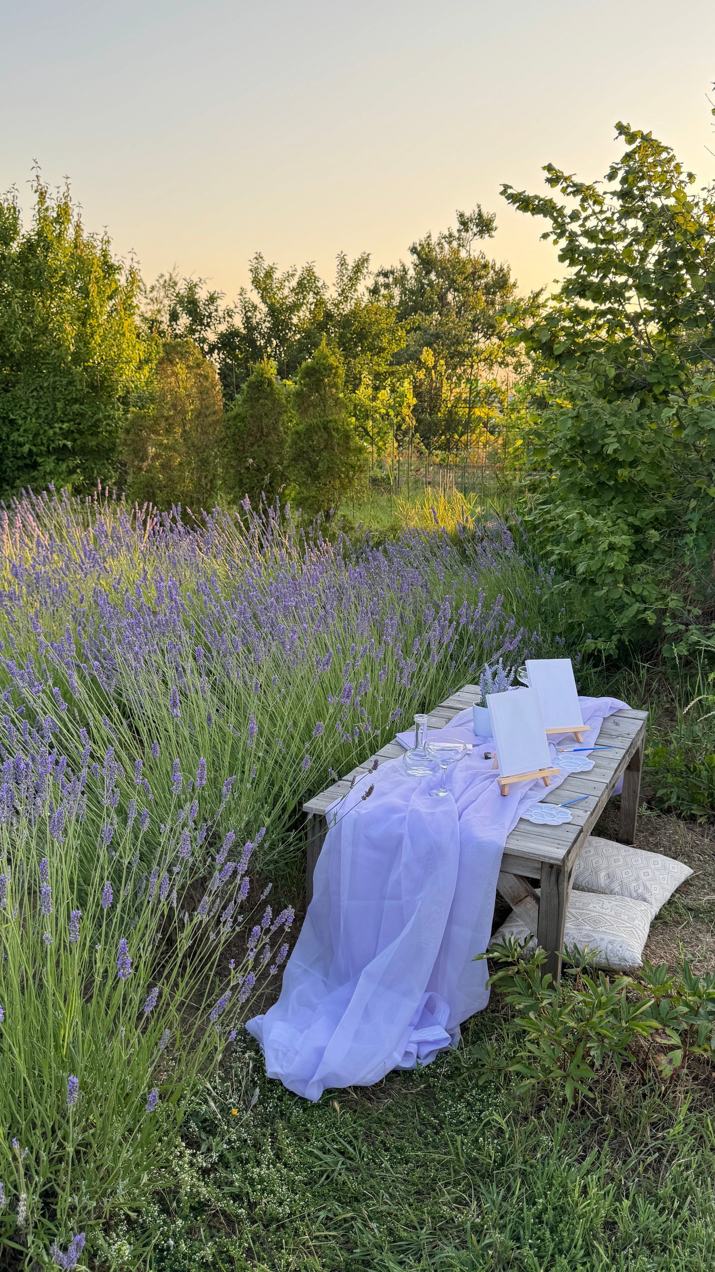 Лаванда. Фотостудия Натальи Забродской