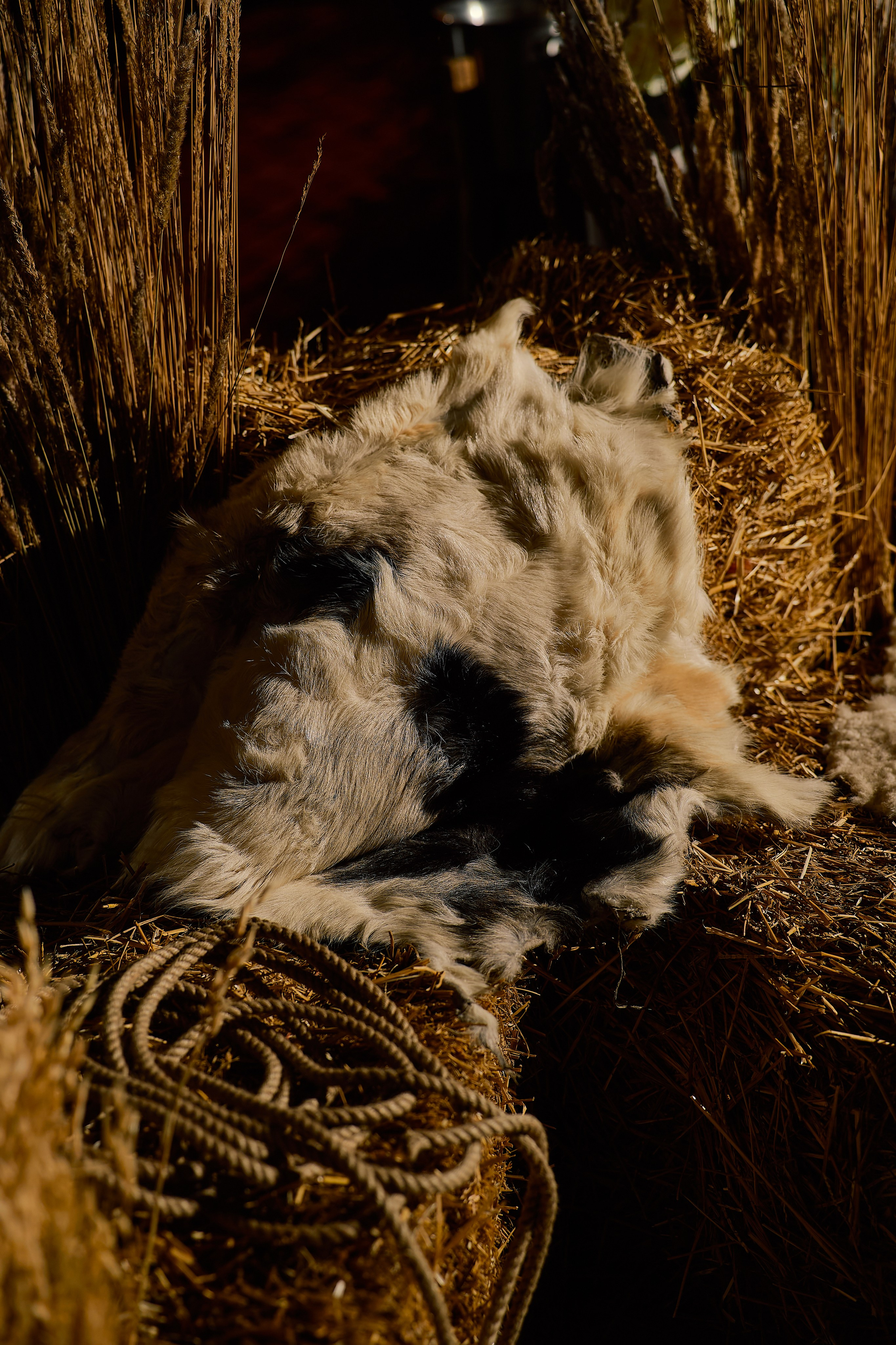 SARAY | 24.11.2025 | г. Москва, ресторан «Сарай». МашаШарики | Декоратор | Москва