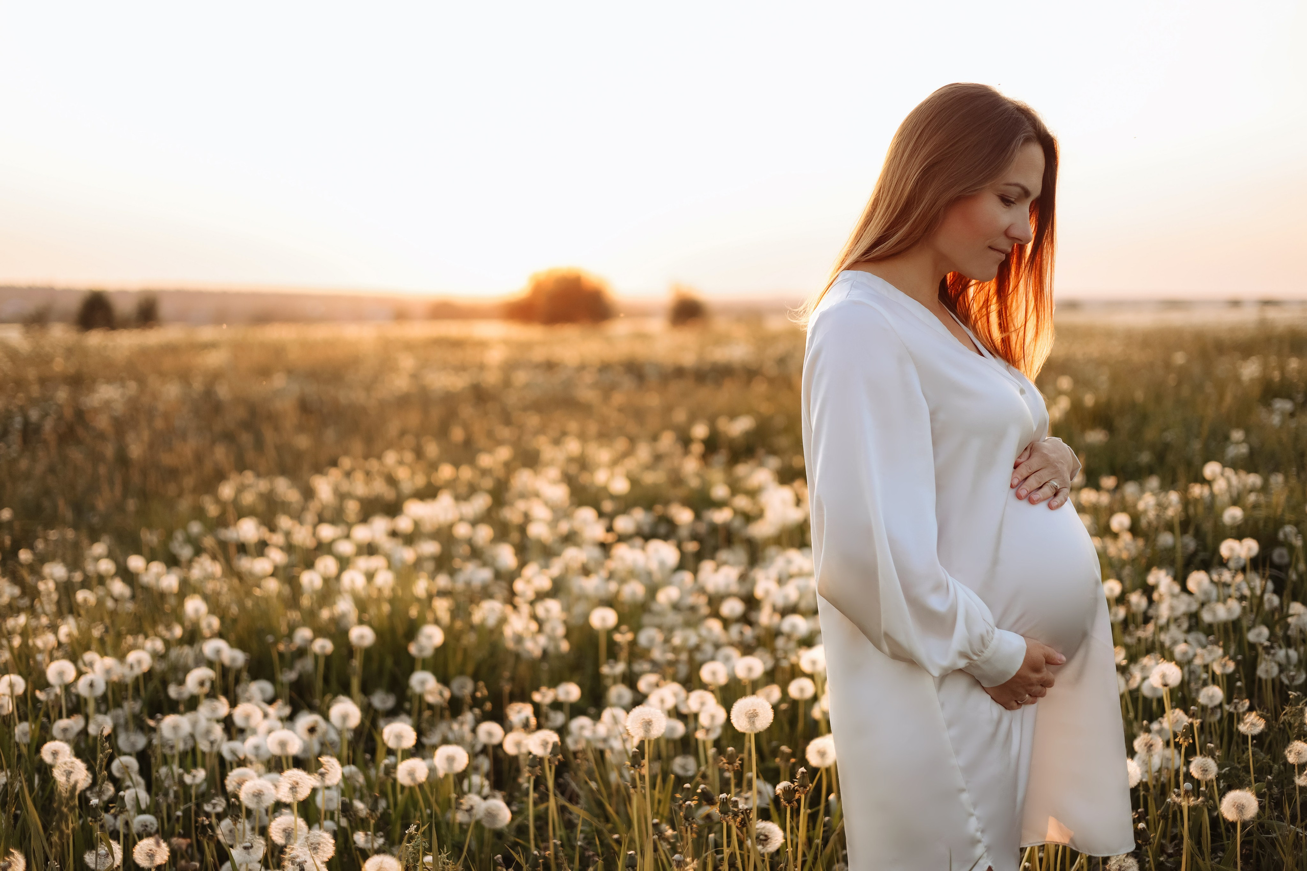 Закат. одуванчики. счастье. Фотограф в Санкт-Петербурге Знаменская Ирина