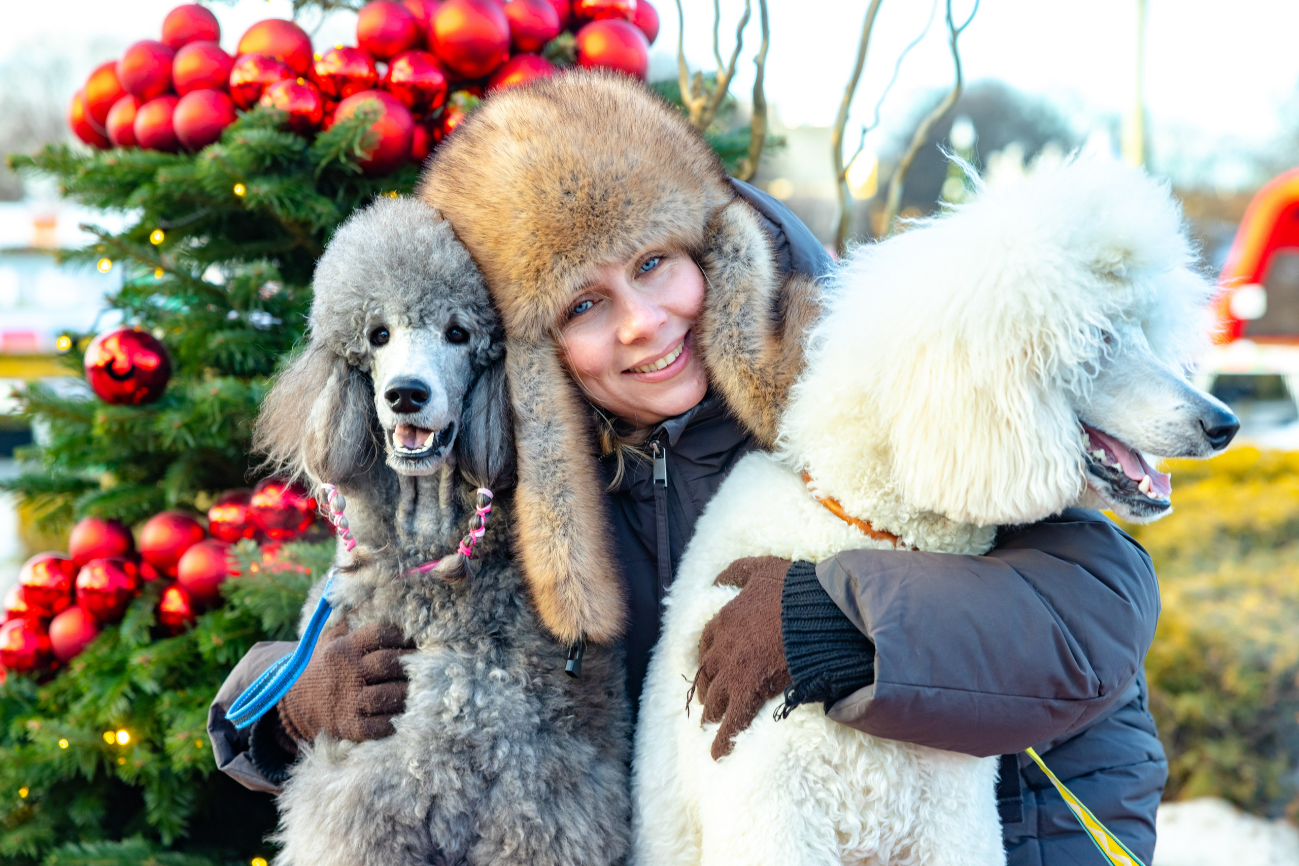 Клуб грумеров (прогулка и семинары). Виктория Зудина — фотограф в Москве