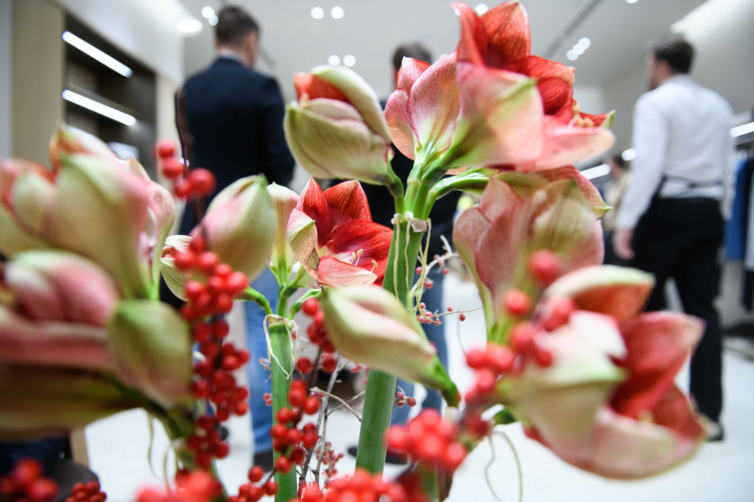 Репортаж светского вечера в бутике Emiliano Zapata — Александр Киямов