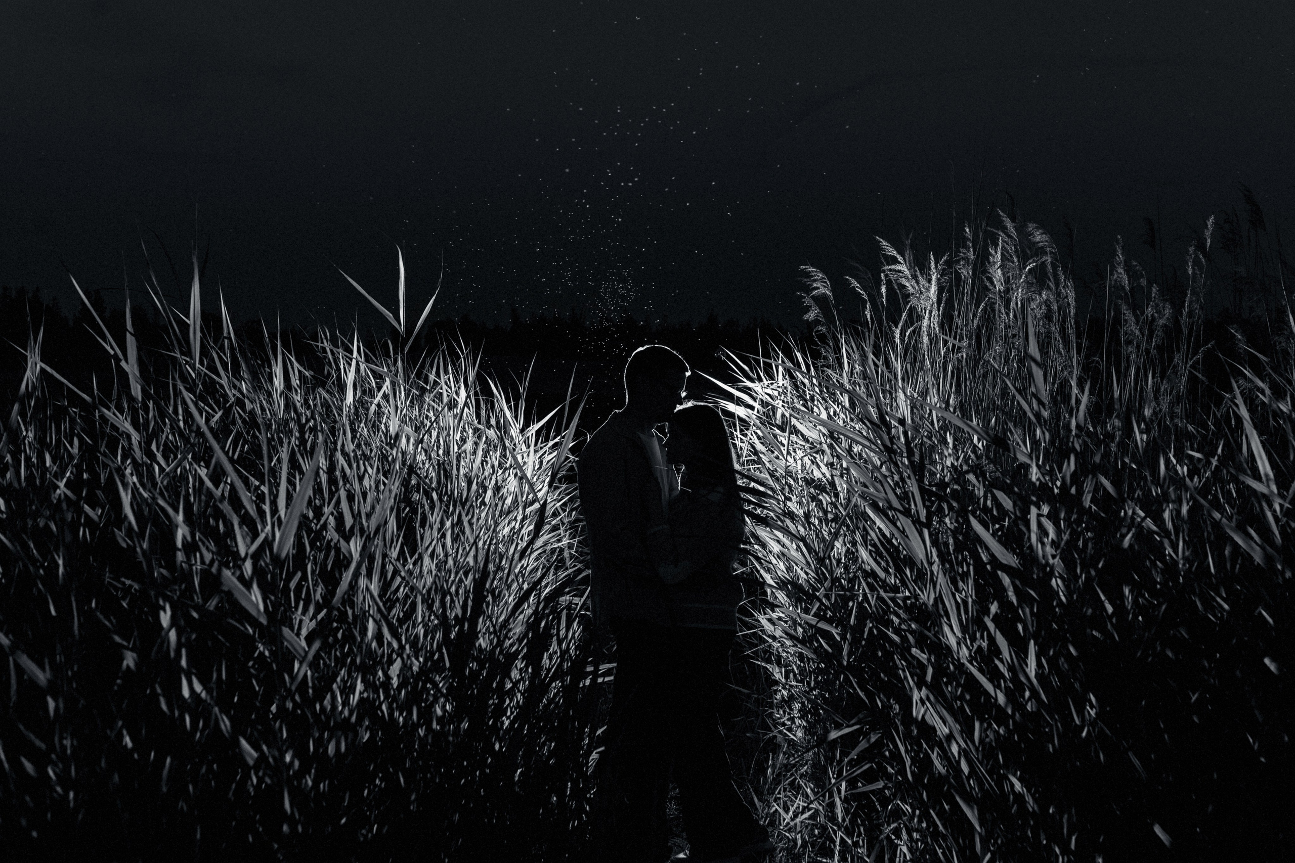 Лиза и Максим. Свадебный фотограф в Орле Андрей Поляков