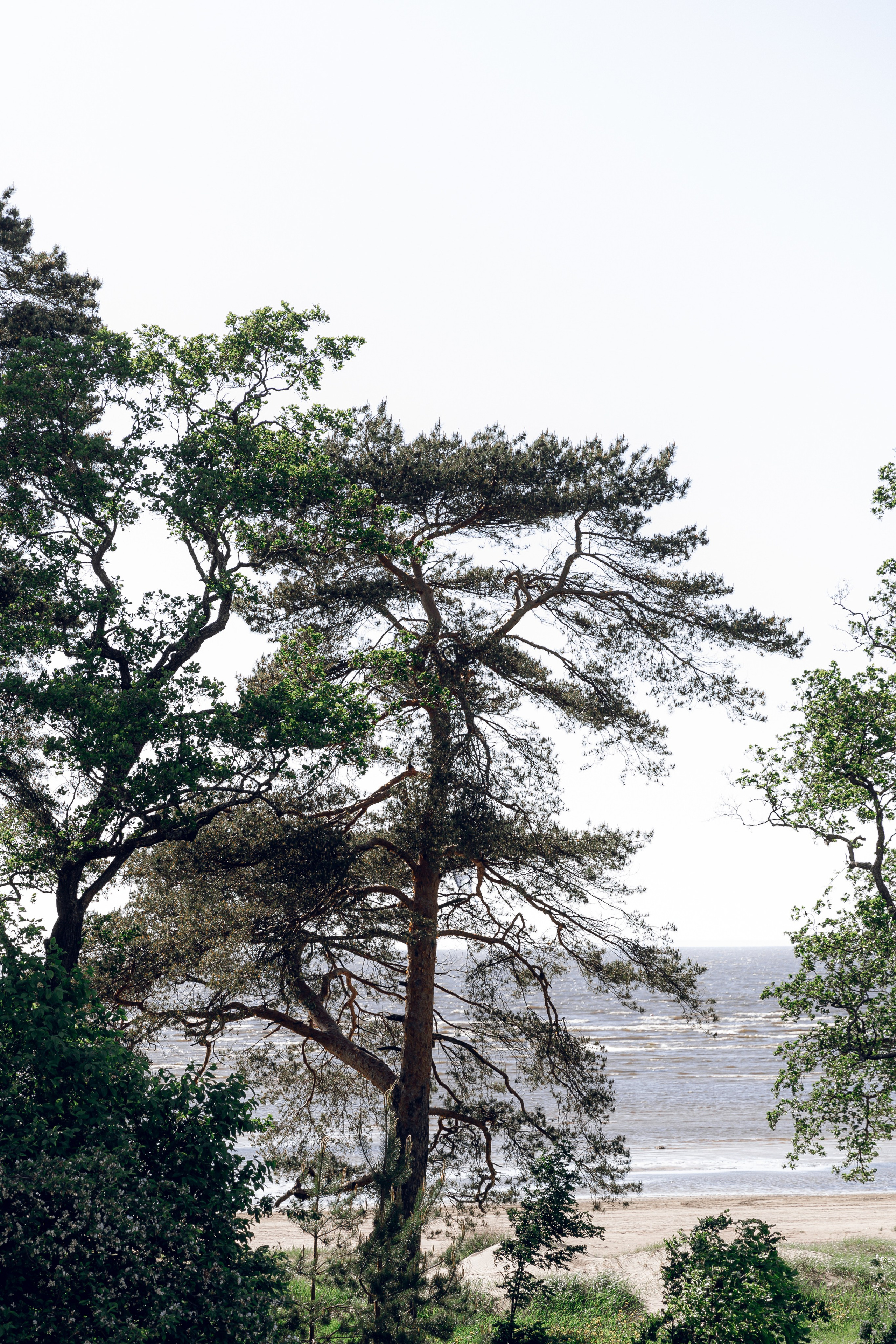 Павел & Светлана. Свадебный фотограф Казань| Фотограф Казань Зевакина Анастасия