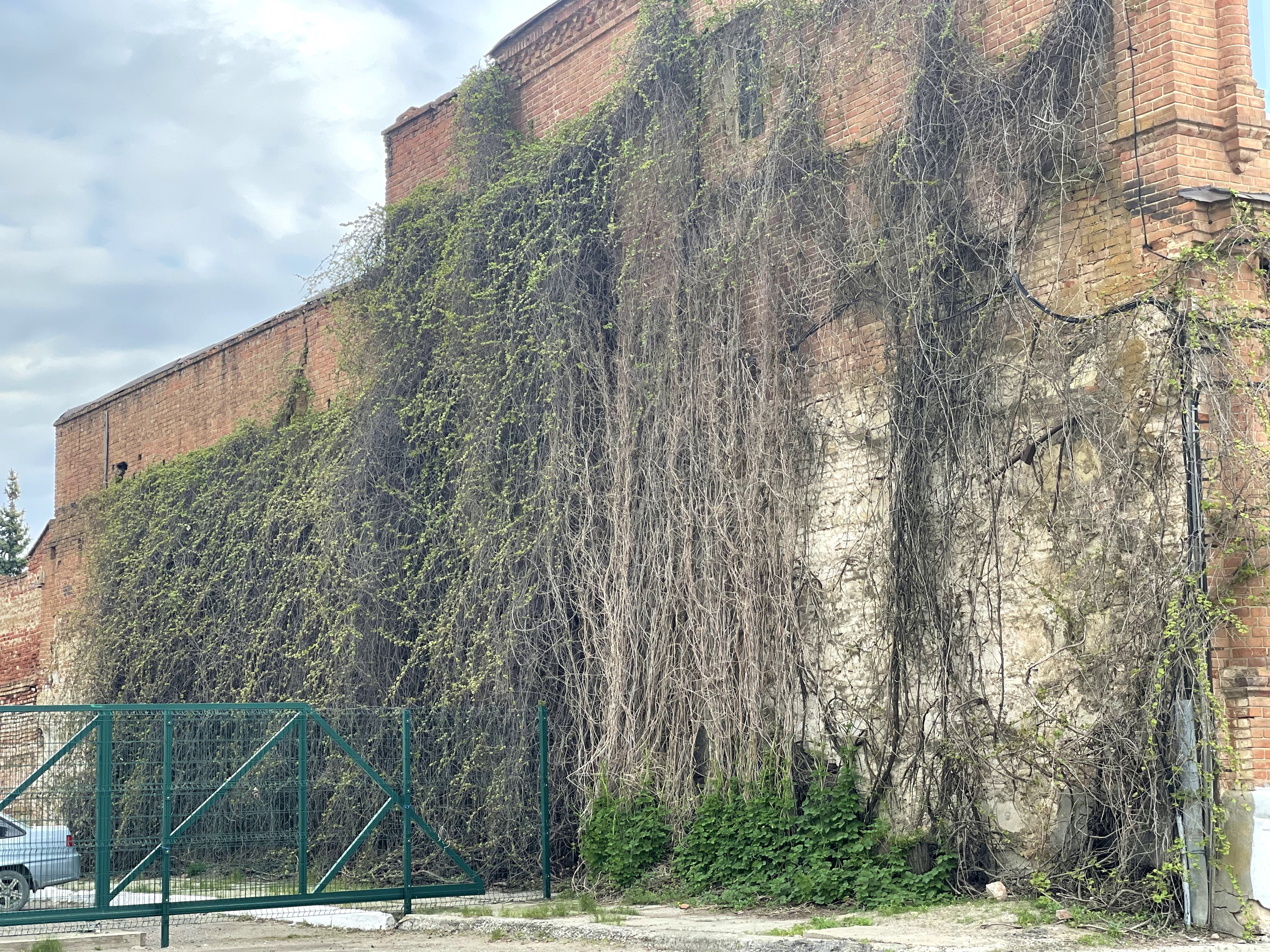 60 104 Картина. ВИЗУАЛЬНЫЕ И ЗВУКОВЫЕ РЕШЕНИЯ ДЛЯ БИЗНЕСА И СЪЁМОК ТЕЛЕТЕЛА