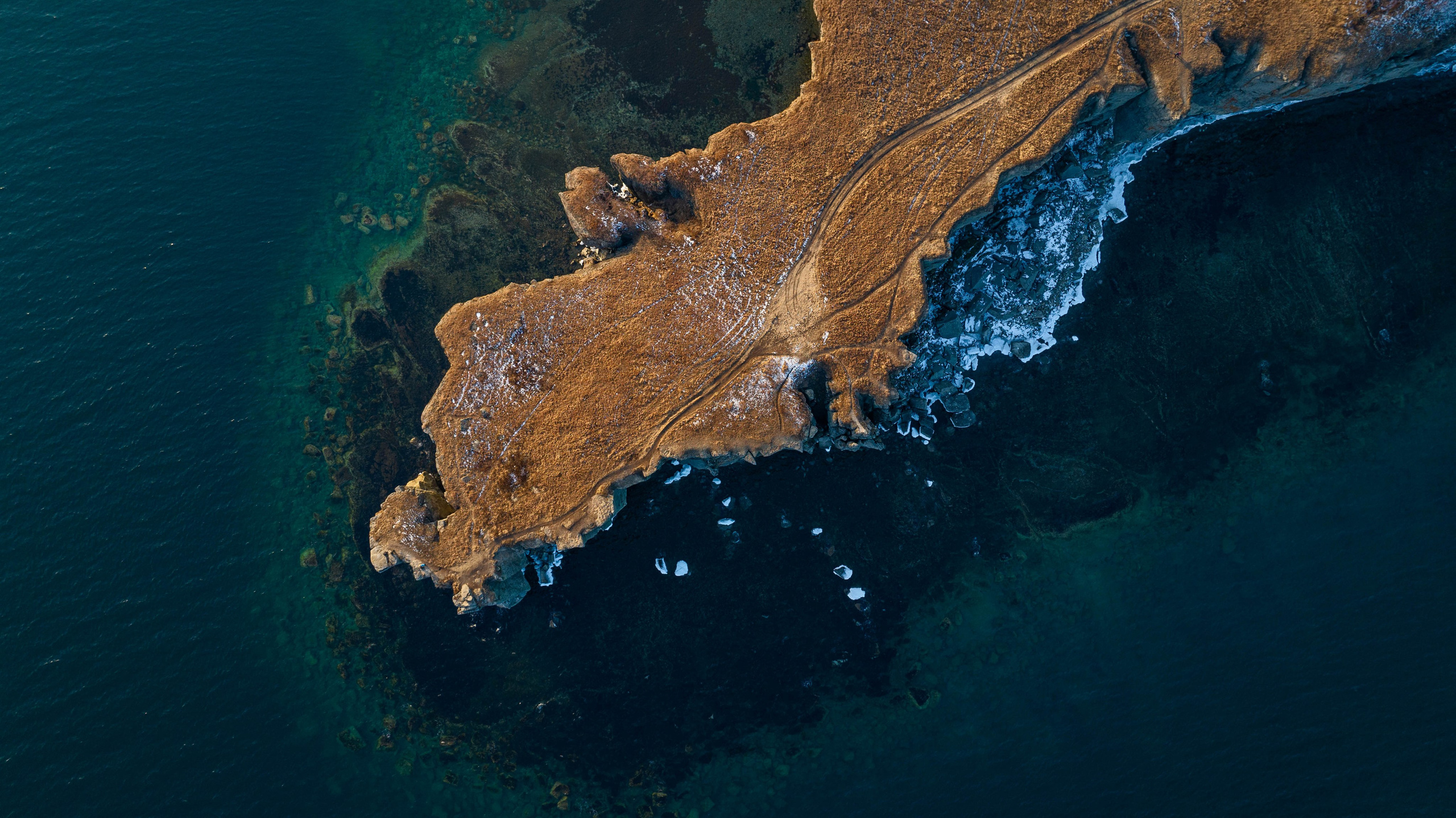 Берег Парящей черепахи. Турист оптимист