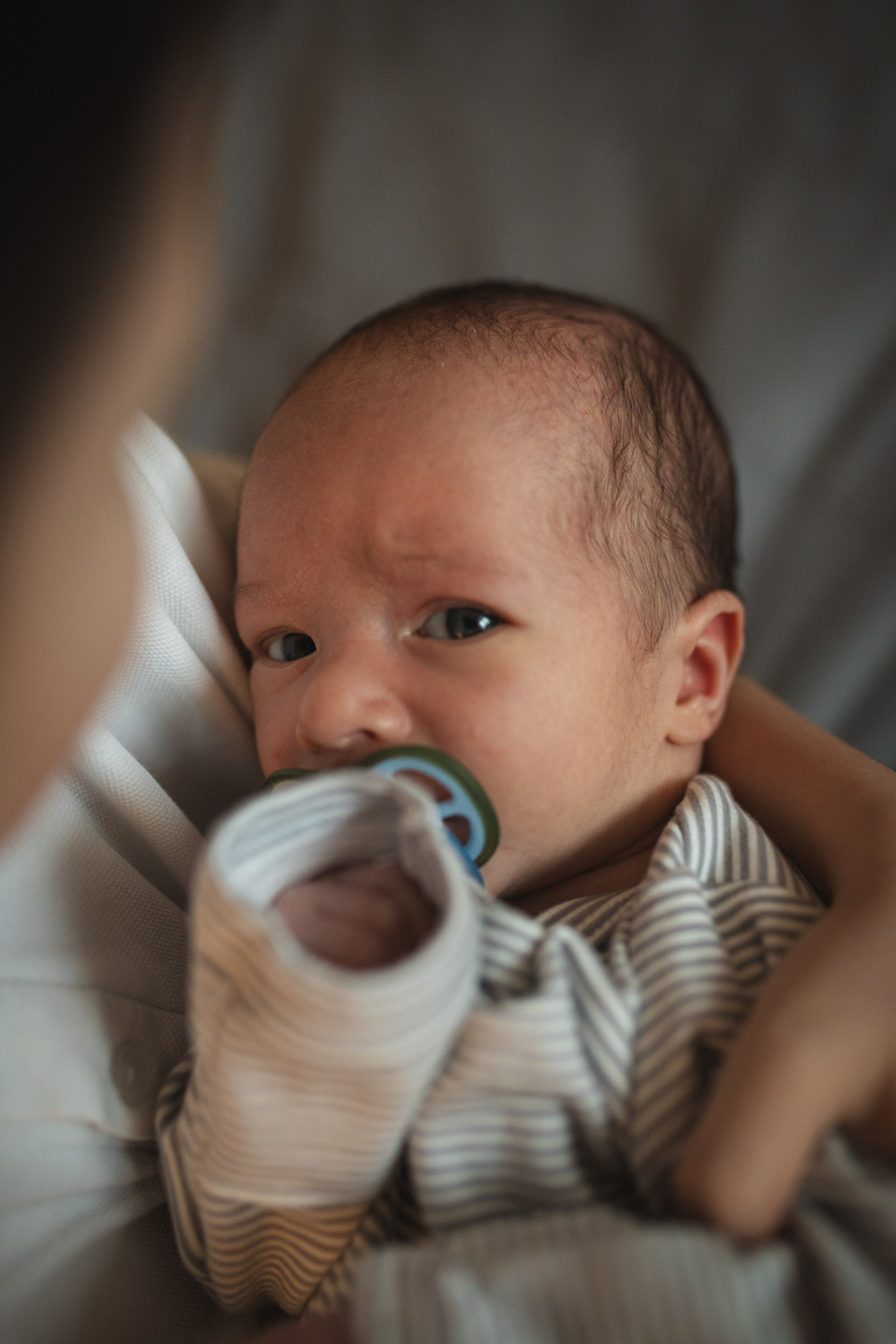 Младший брат. Семейный и школьный фотограф в Москве Анна Ткач