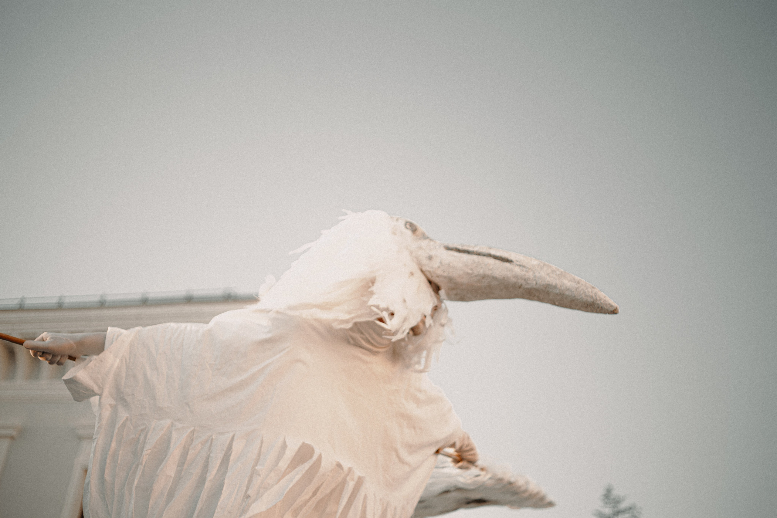 Спектакль «Куриное кабаре» от Свободного молодежного театра | Тобольск. Арт-фотограф Крис Л. в Тобольске: портрет, семейные, свадьбы