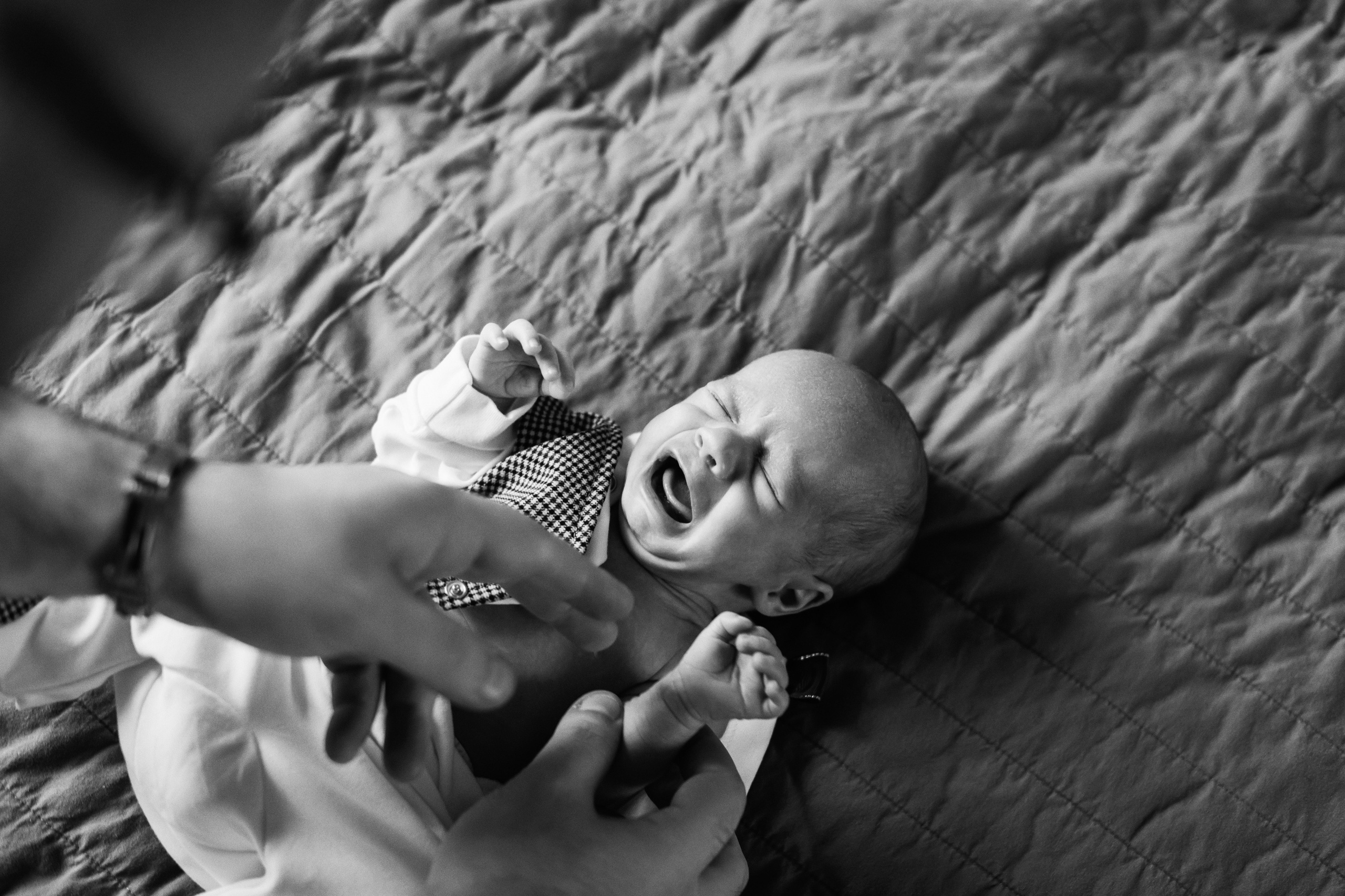 Настя и Миша. Свадебный фотограф в Санкт-Петербурге София Шубик