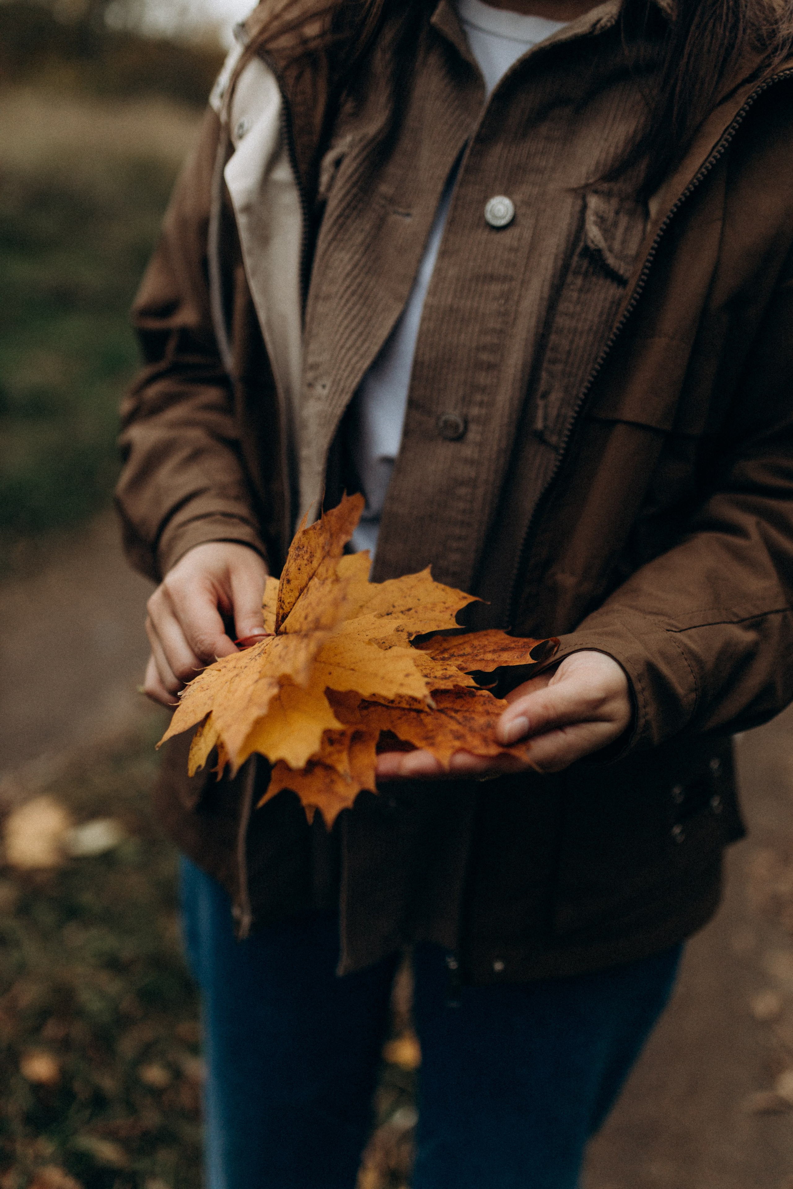 Диана. Фотограф НОГИНСК, Москва, Анастасия Белая
