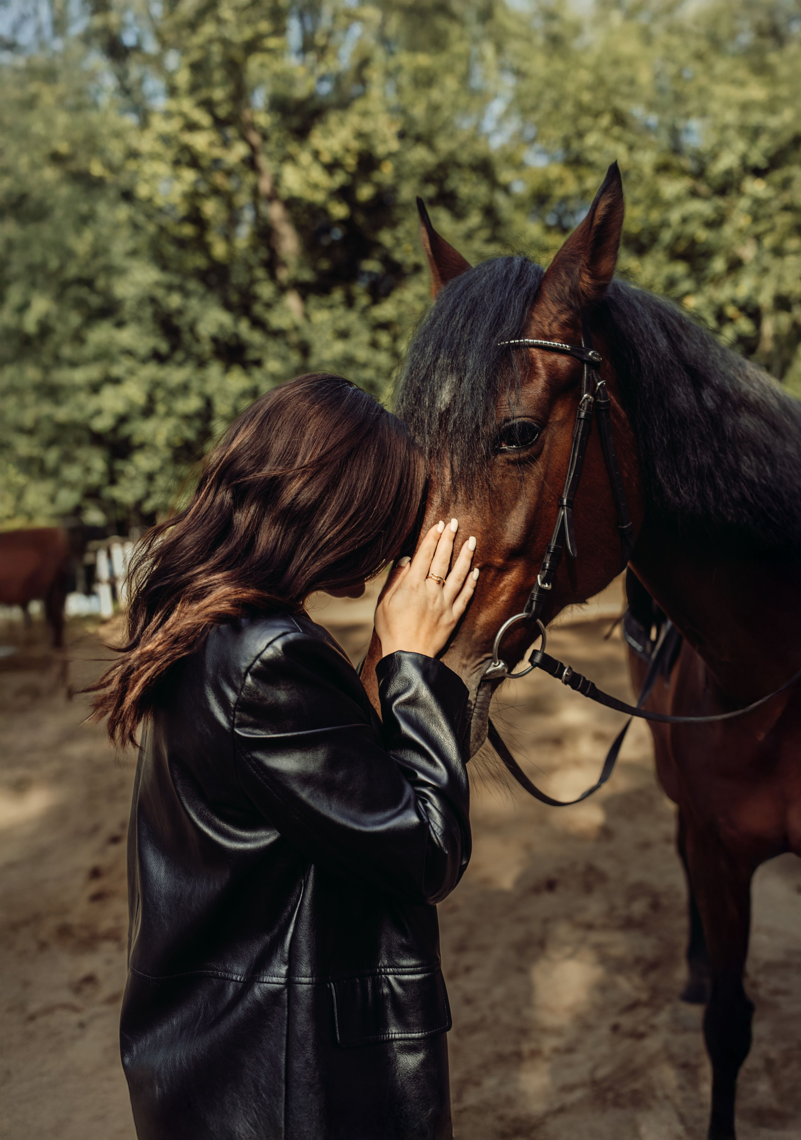 Фотодень с Лошадьми. Фотограф в Москве Ангелина Ким