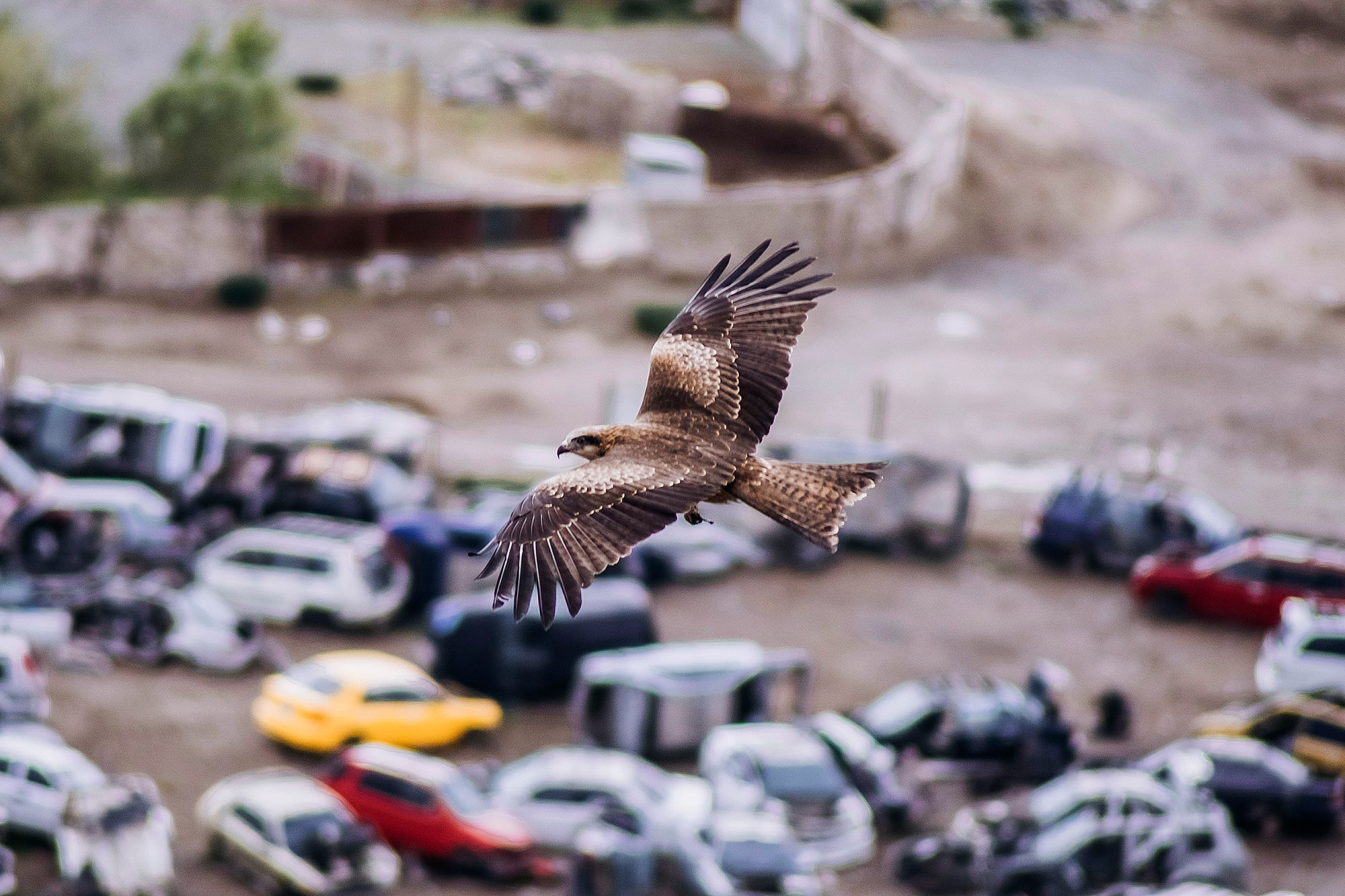 Mongolia landscape. Iraogo
