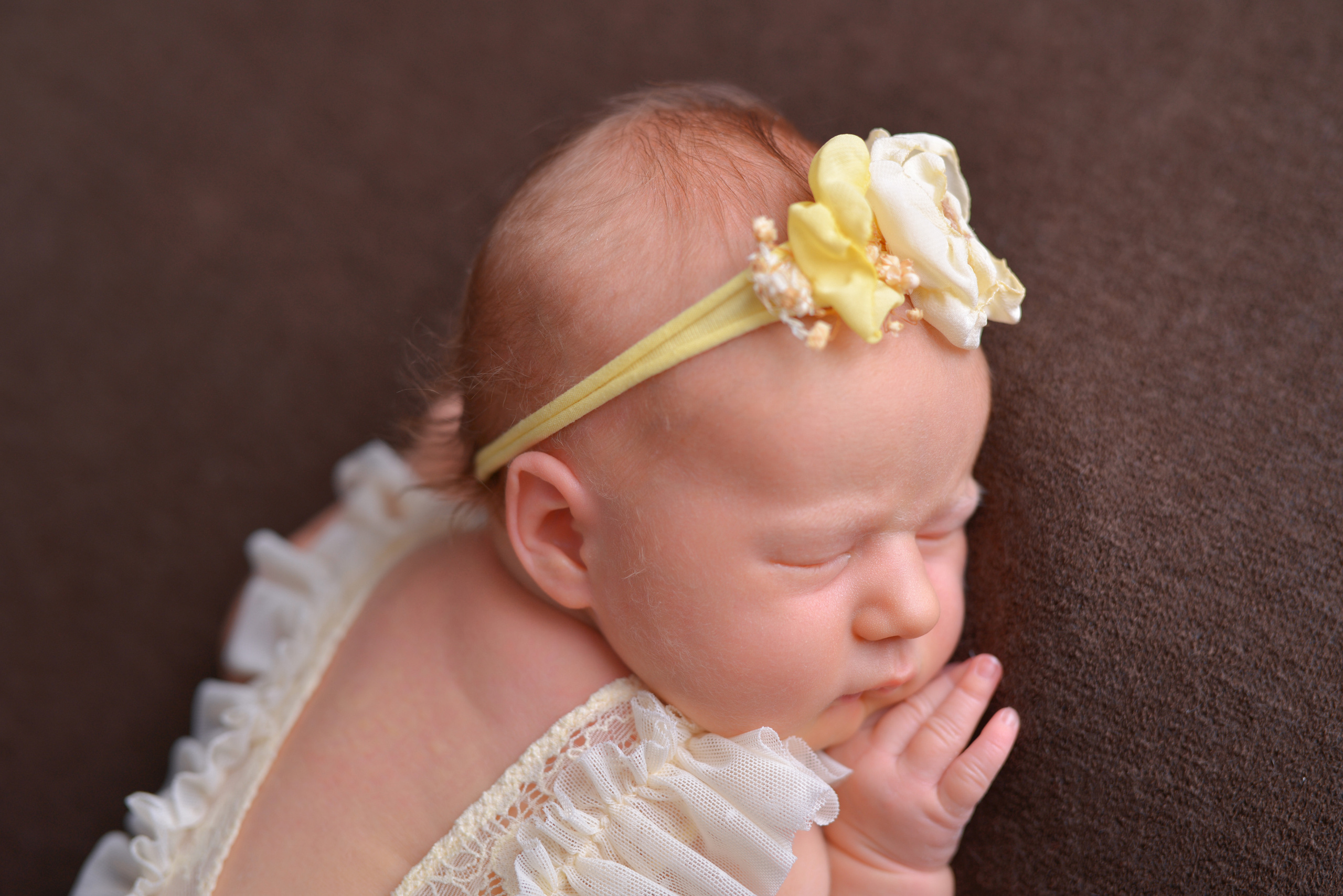 Та самая Фотостудия Тверь