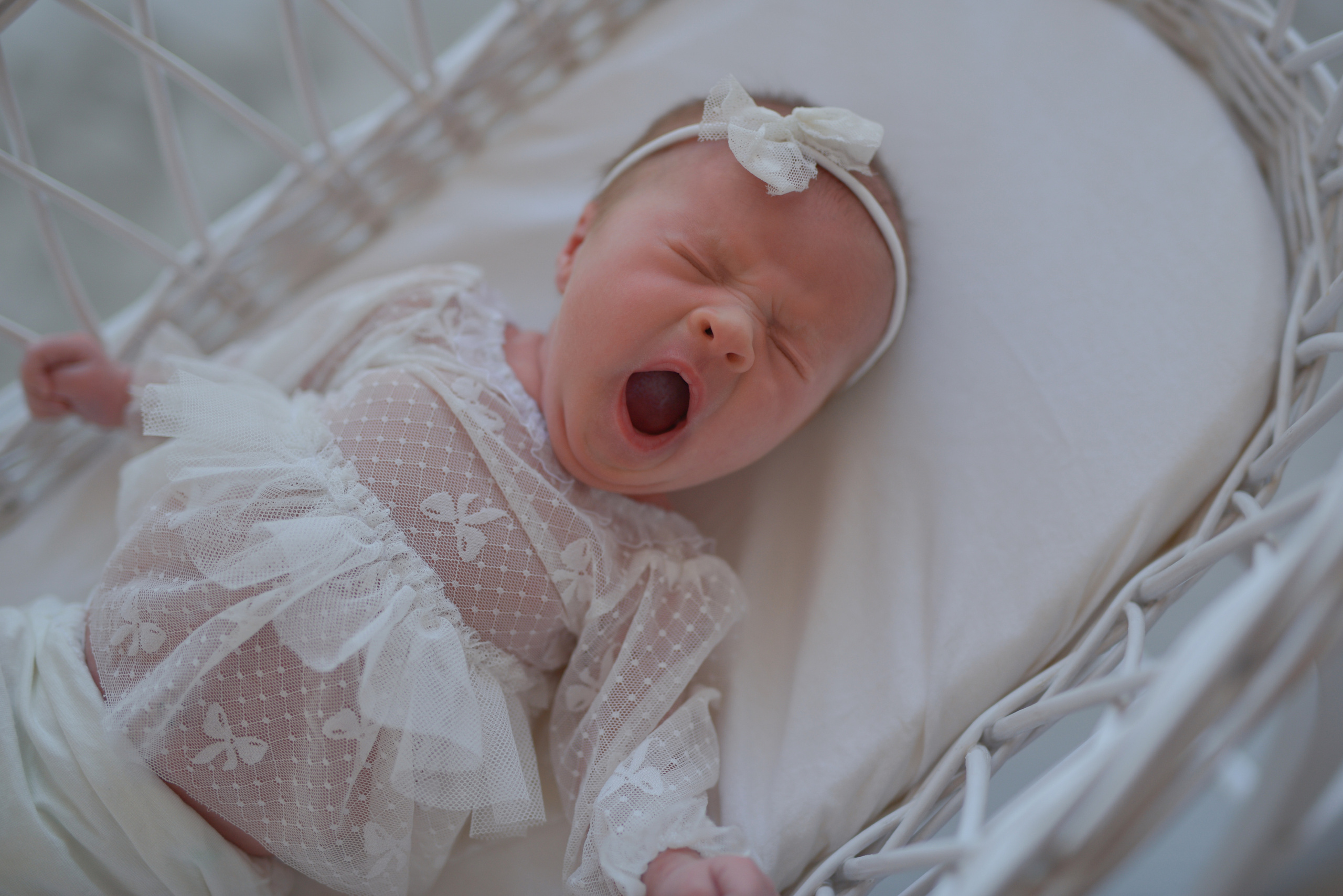 Та самая Фотостудия Тверь