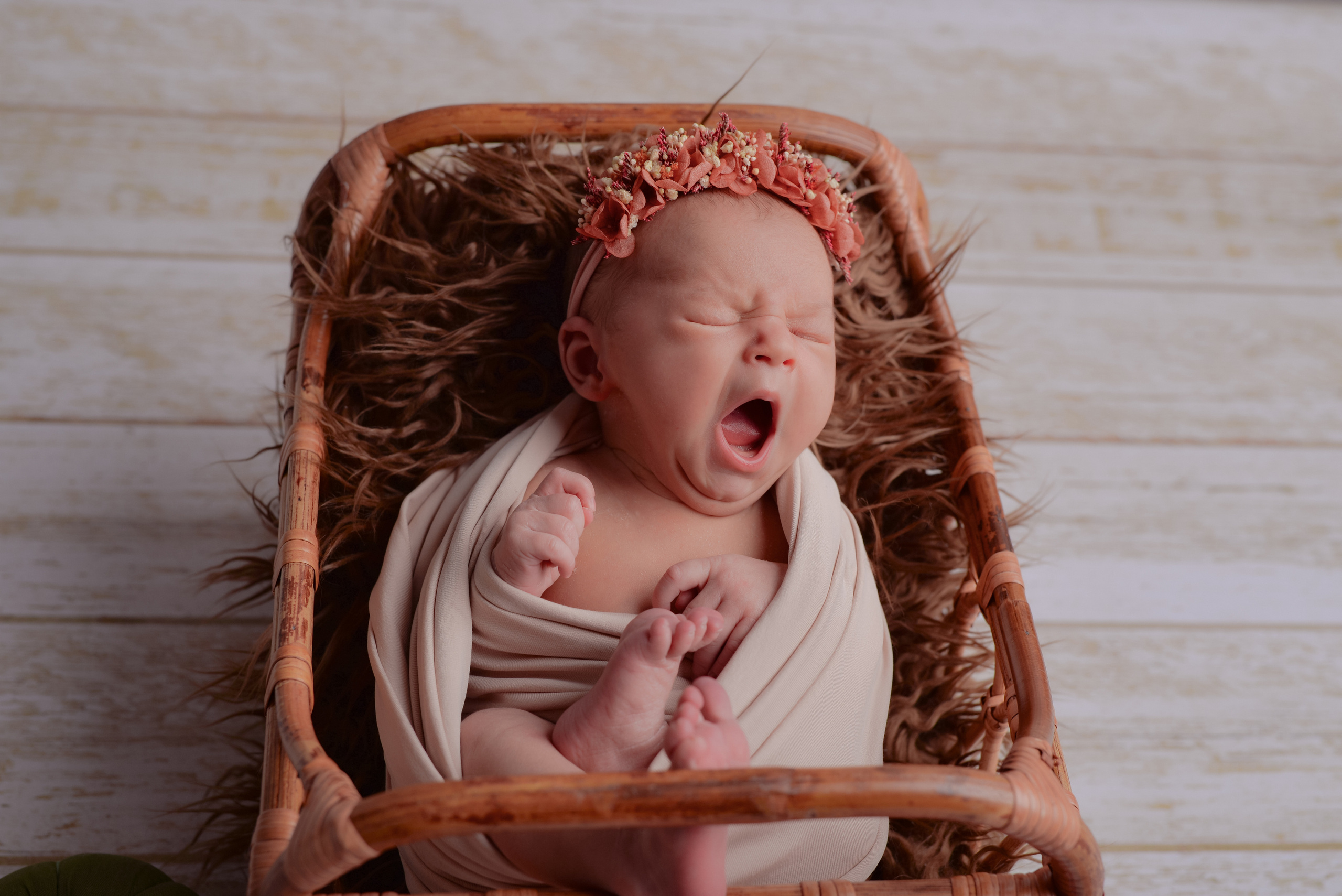 Новорожденные. Та самая Фотостудия Тверь