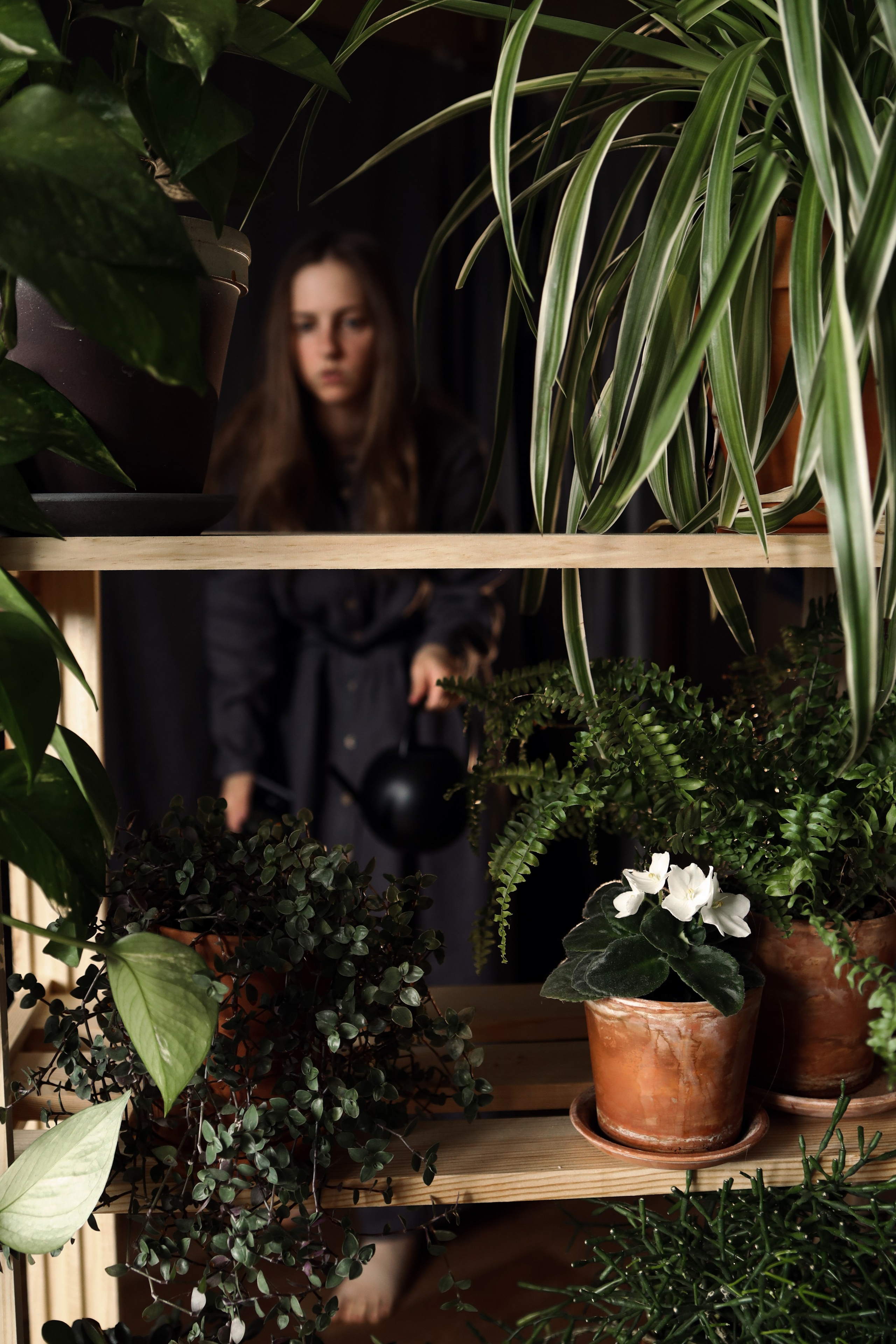 Моя Травология. Катя Цвет