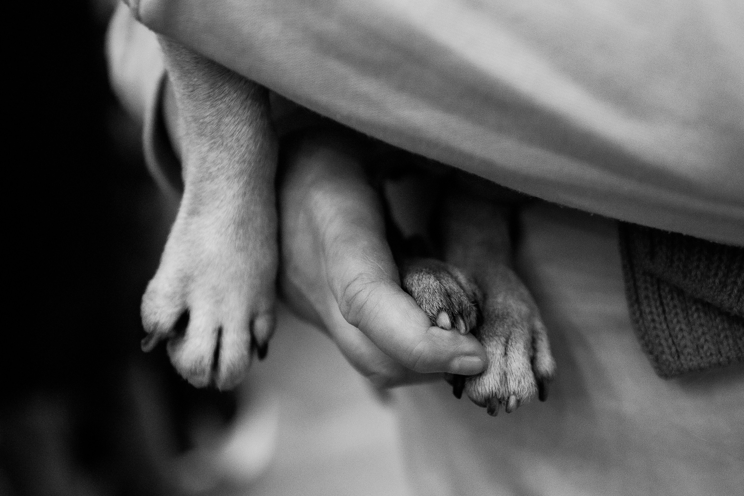 Ольга и Потапум. Прогулка к чайному дому. Семейный Фотограф в Москве Ирина Хохлова