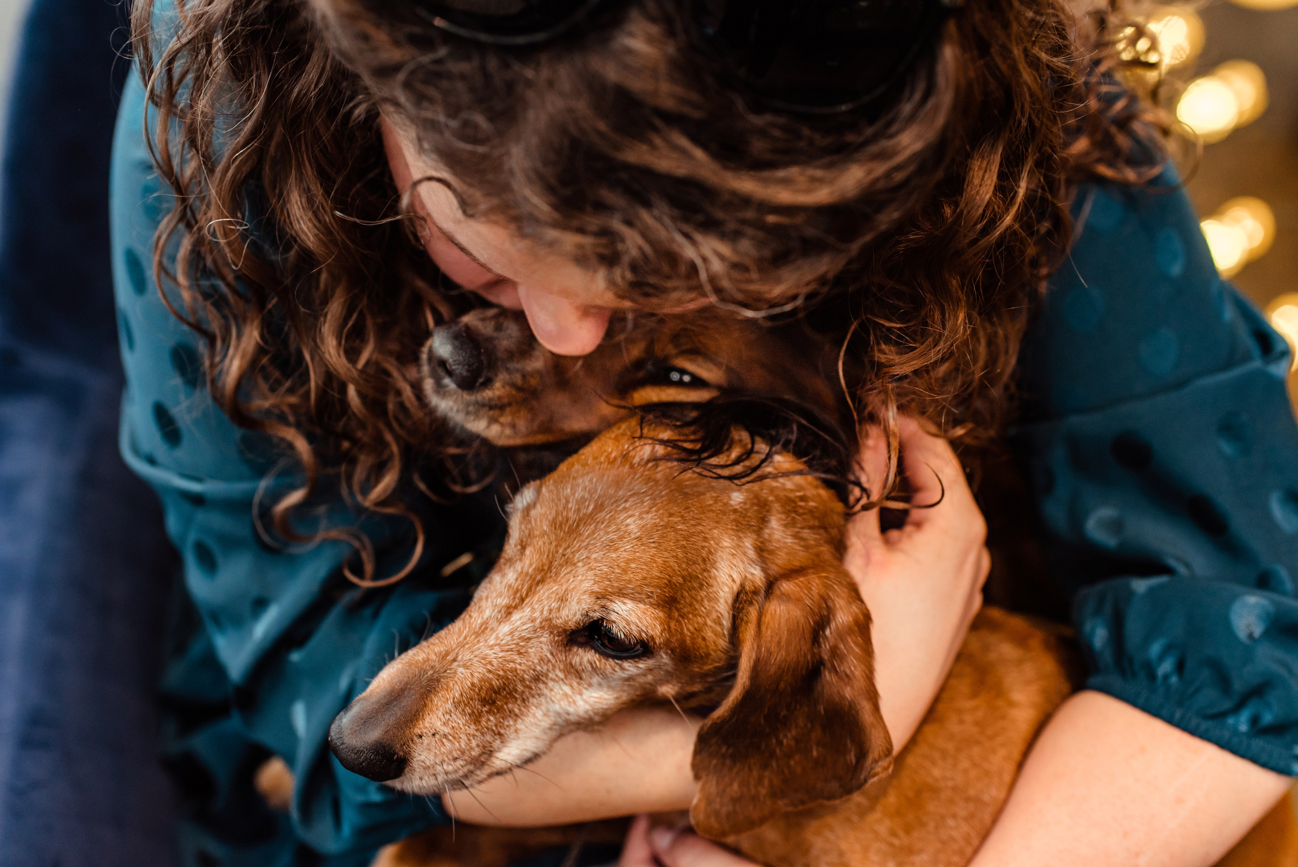 Таксы на Красной площади. Семейный Фотограф в Москве Ирина Хохлова