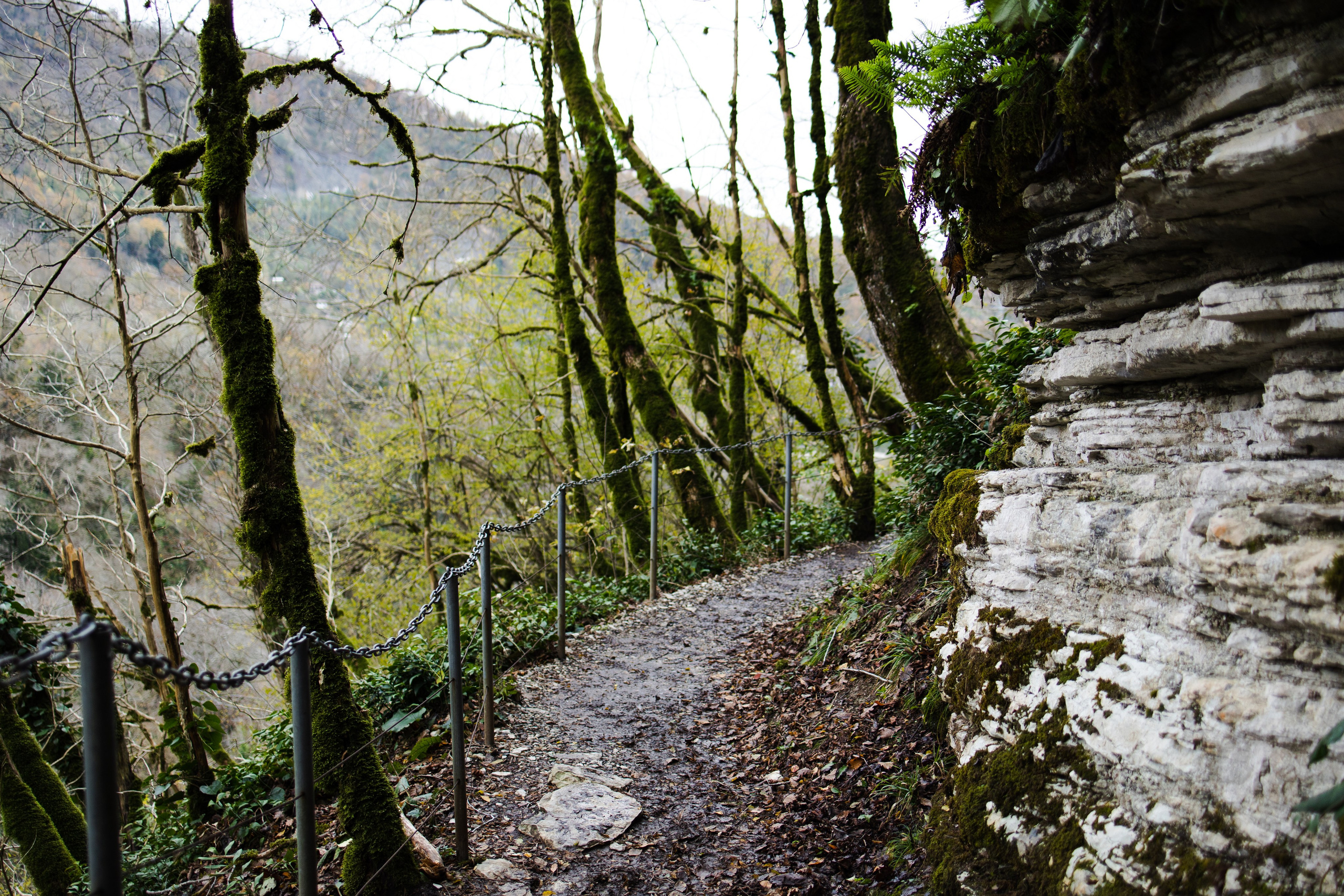 Сочи в декабре. Портретный фотограф в Санкт-Петербурге