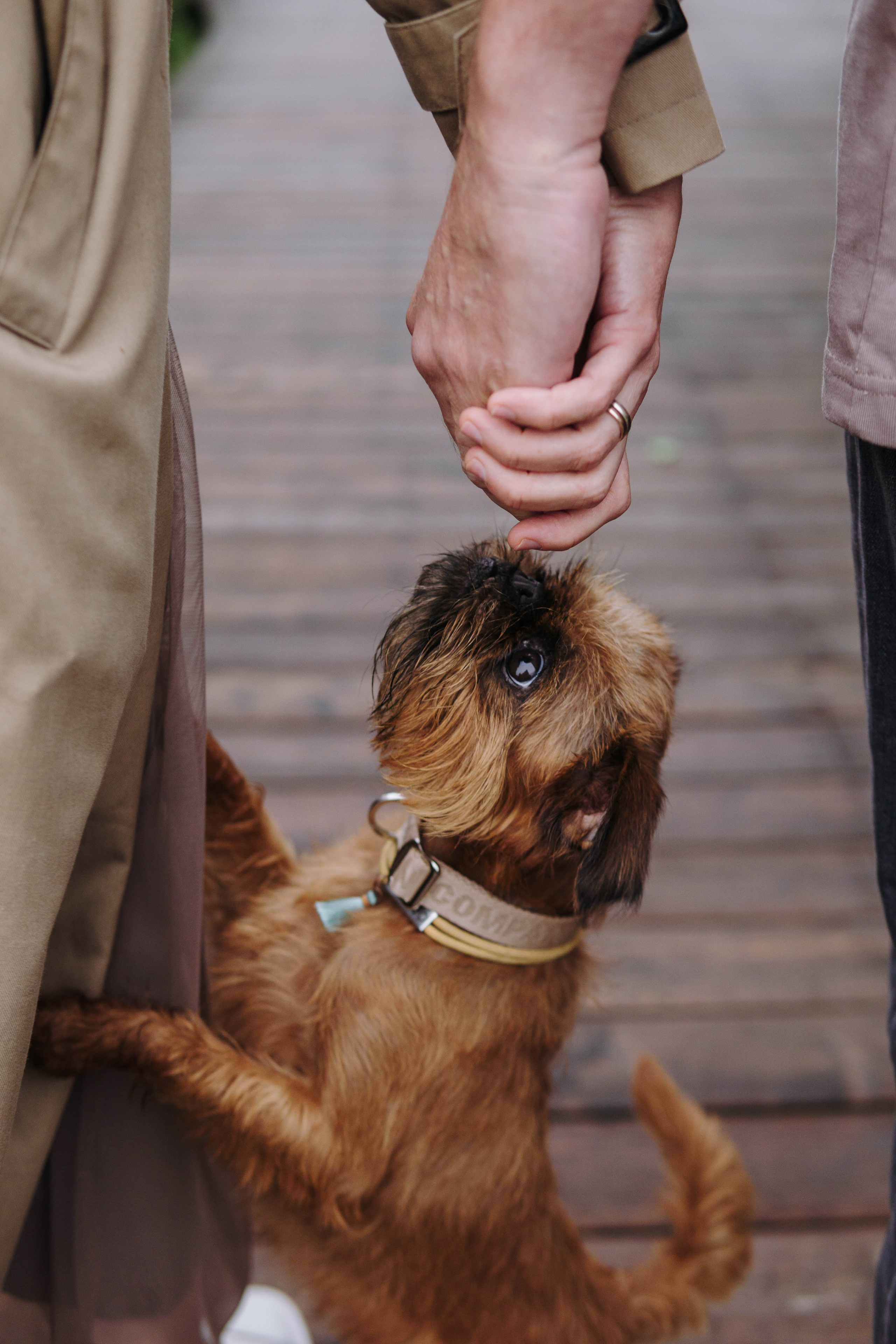 Наташа, Сережа и Хавьер. Фотограф-анималист Ксения Воробьева, Москва