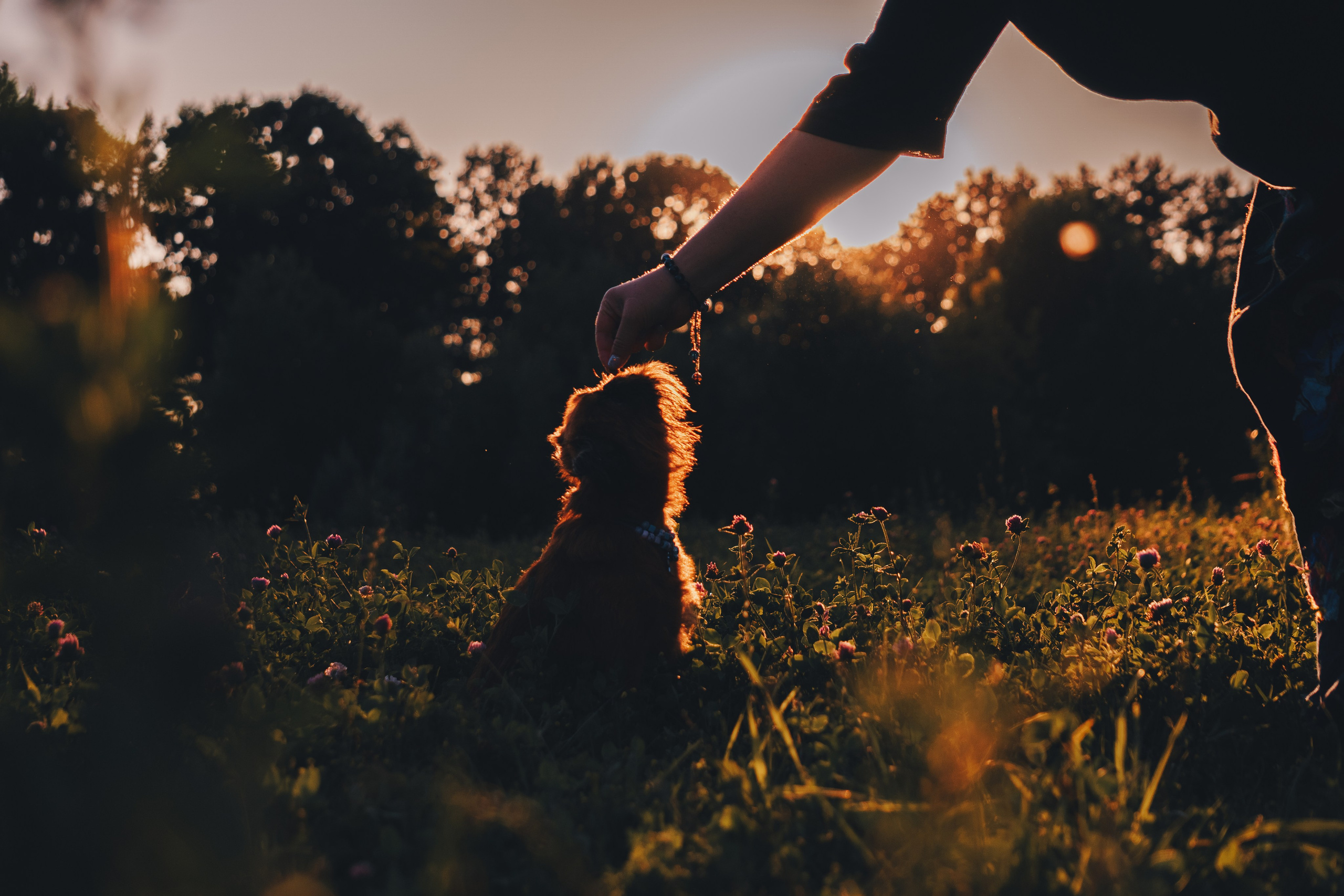 Катя и Яшма. Фотограф-анималист Ксения Воробьева, Москва