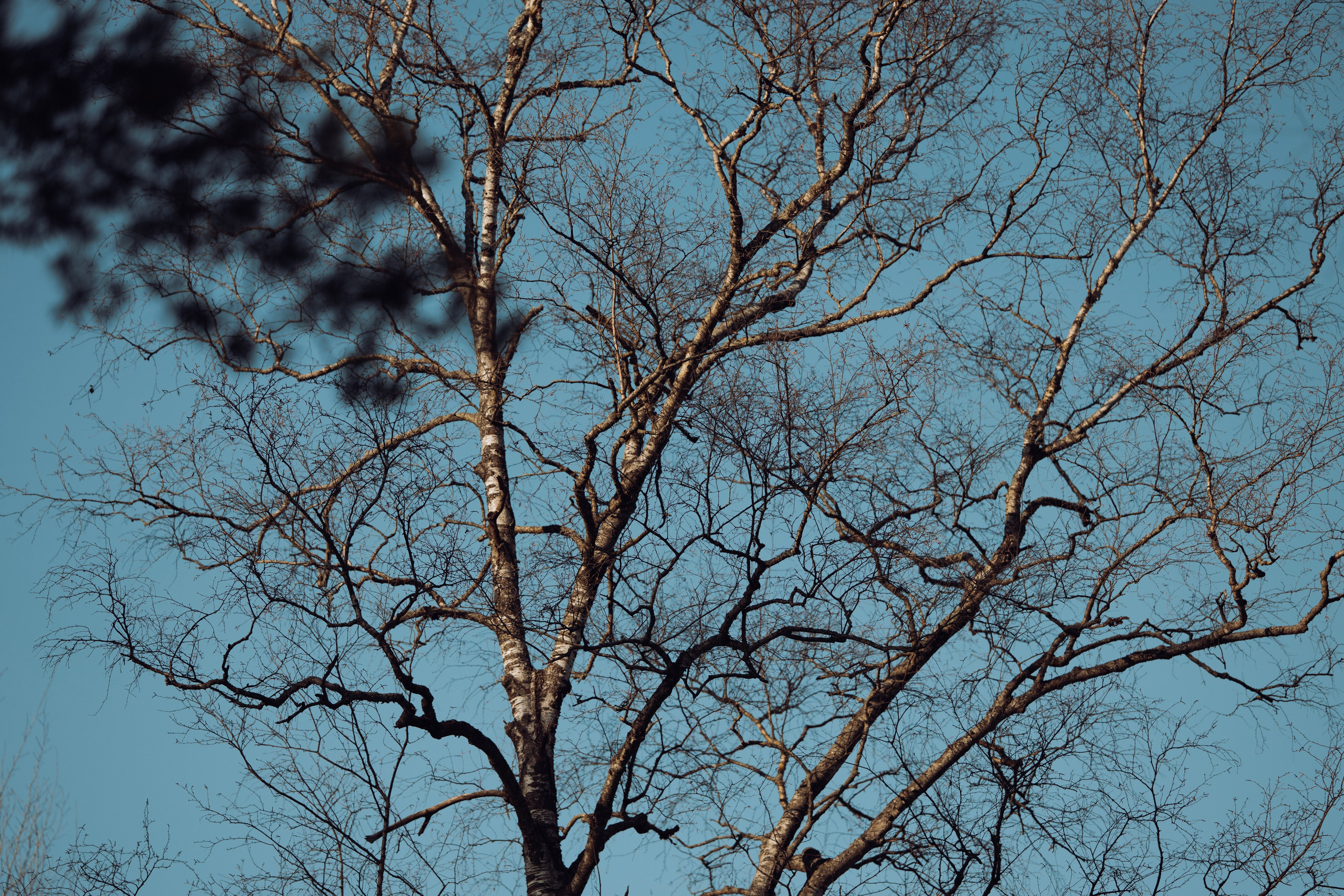 Street photo. Фотограф в Казани, и Зеленодольске Радик Мухаметов