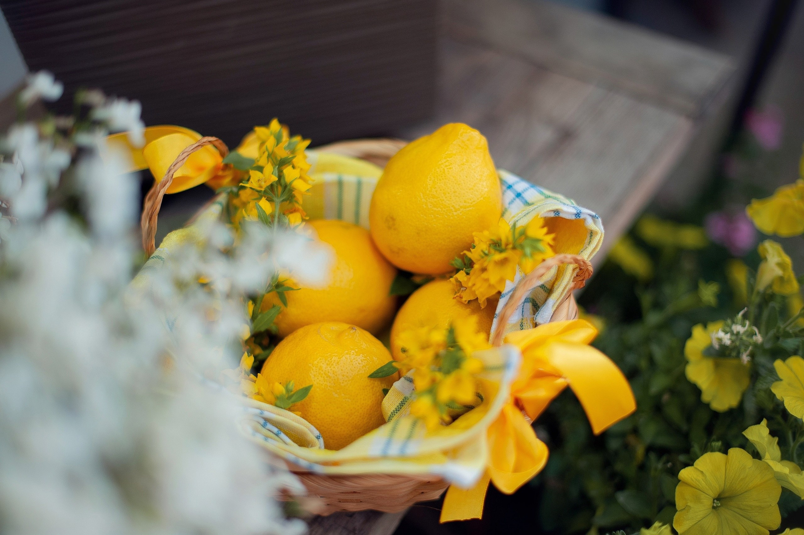 Элина. Семейный и детский фотограф в Казани Виктория Мерхи